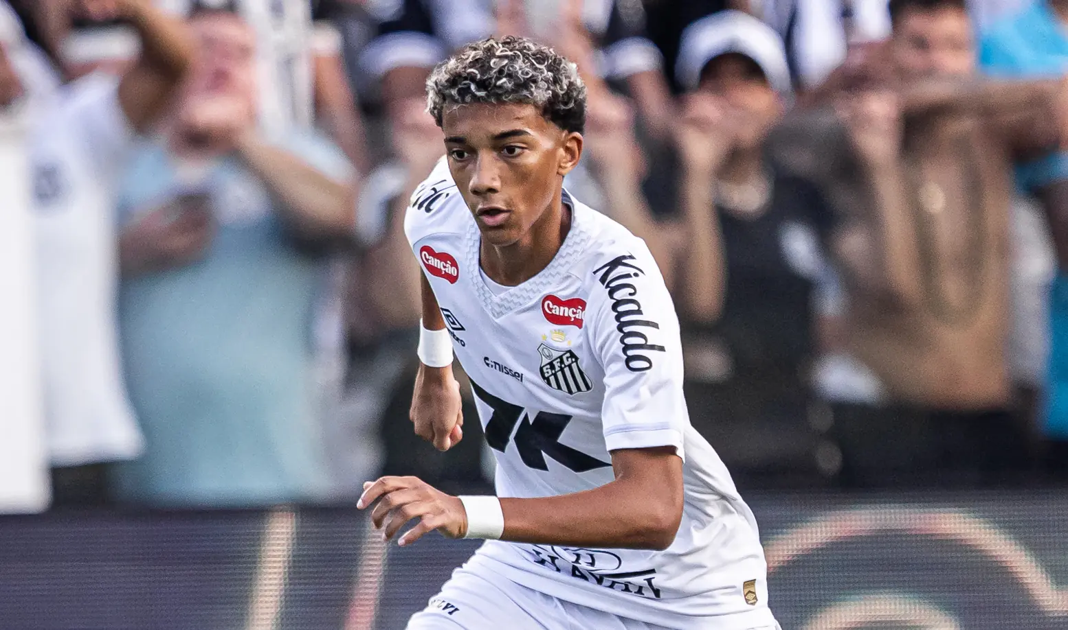 Imagem ilustrativa para a matéria