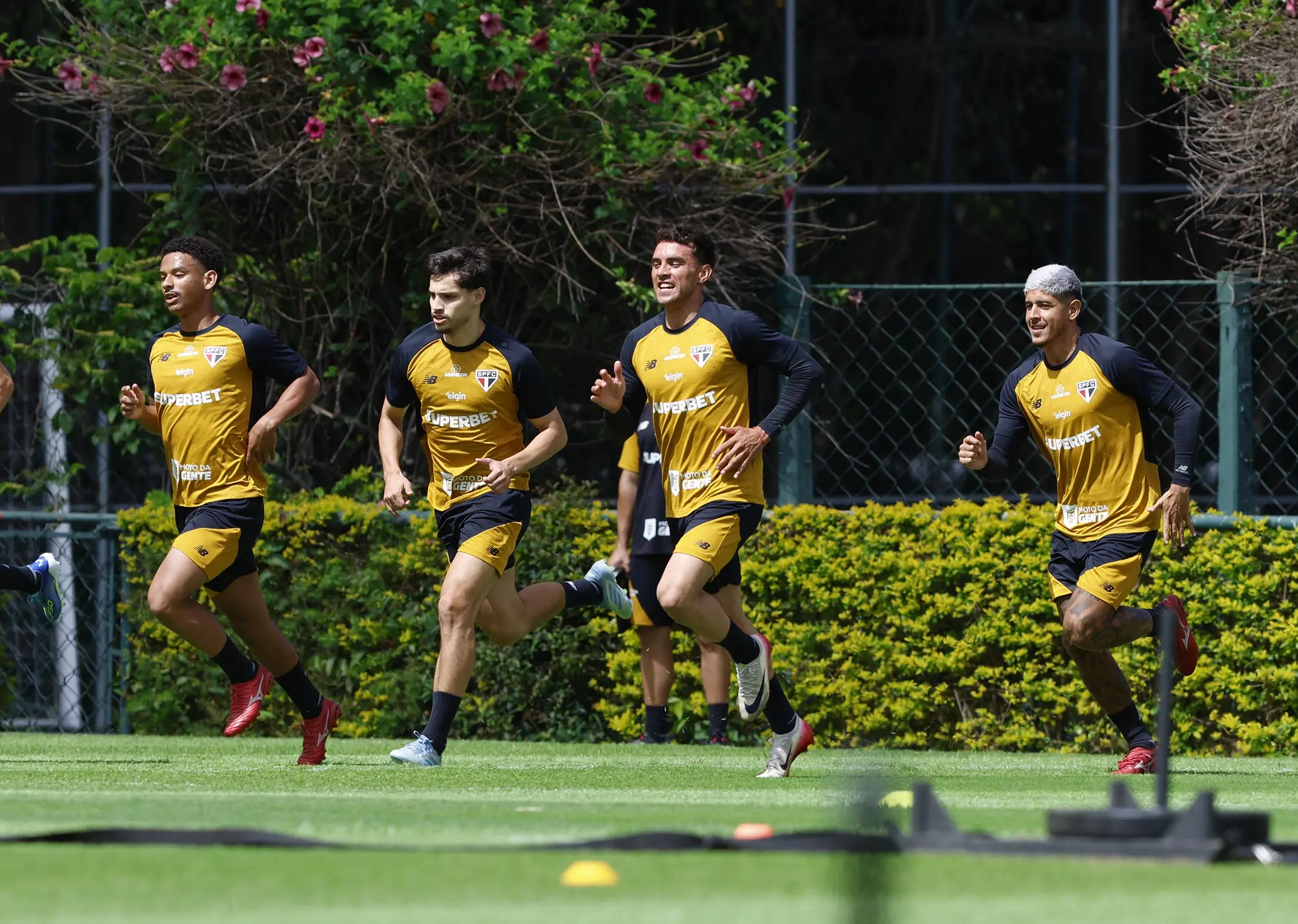 Imagem ilustrativa para a matéria