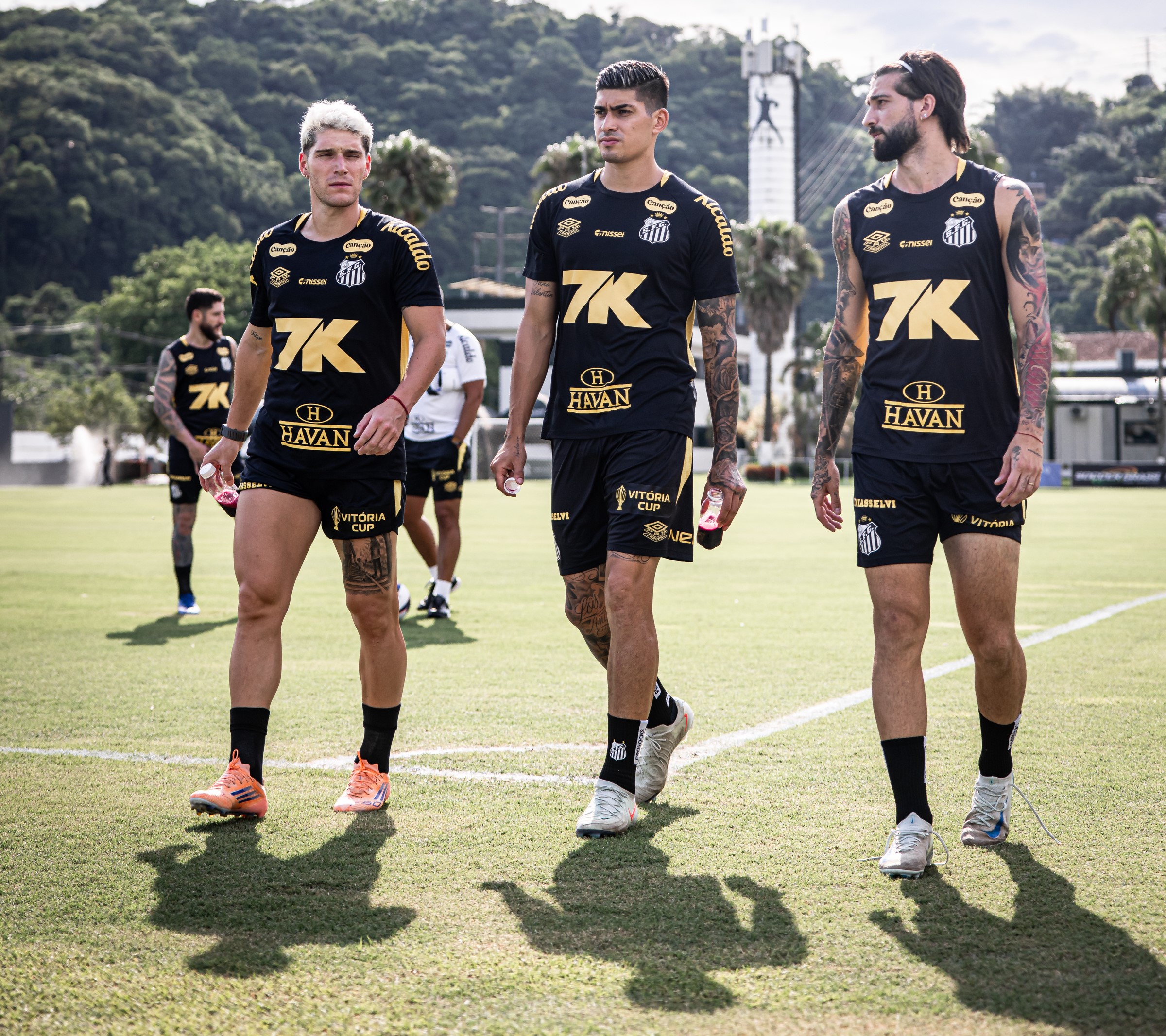Santos x Novorizontino pelo Paulista: onde assistir ao vivo ...