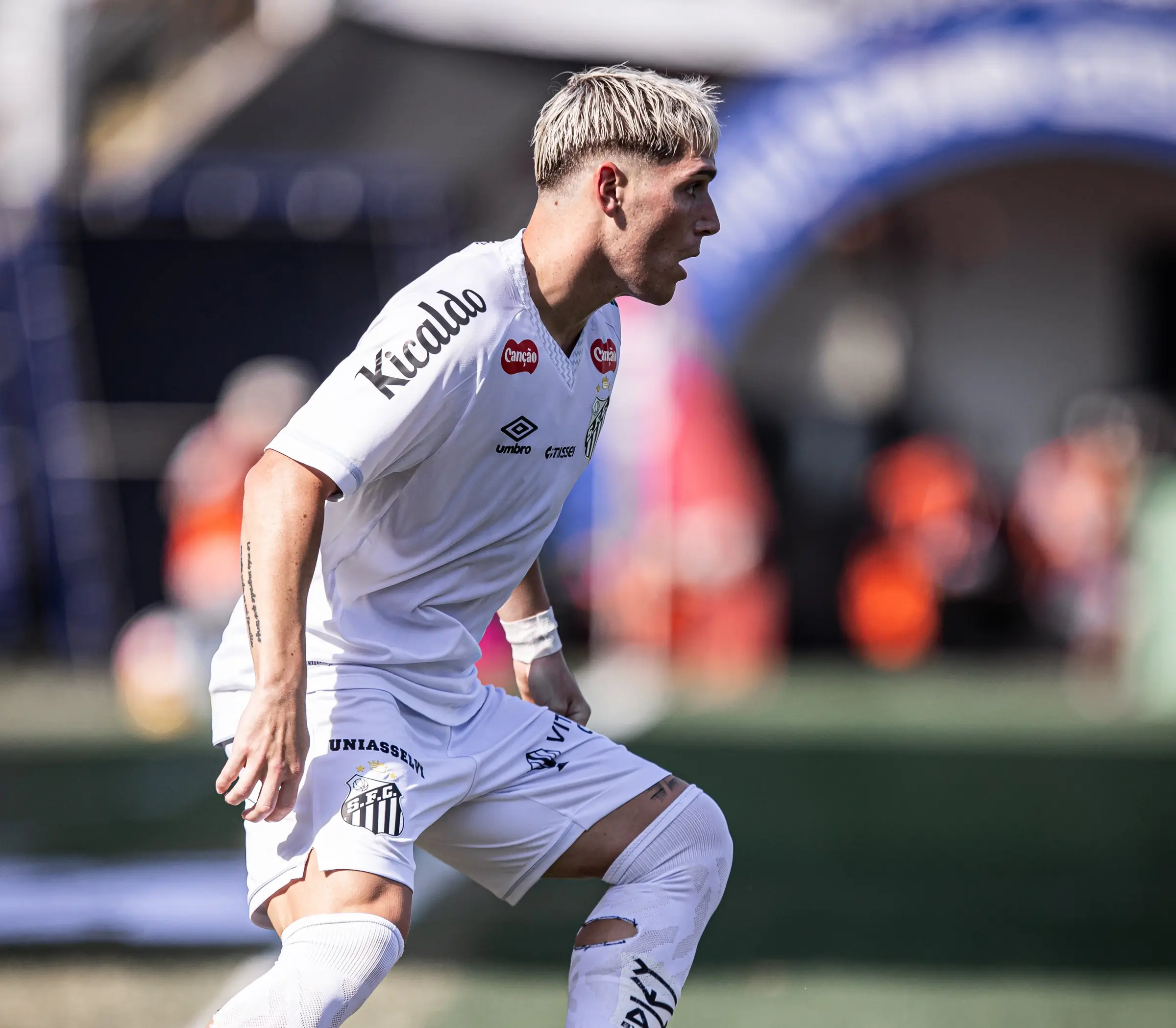 Imagem ilustrativa para a matéria