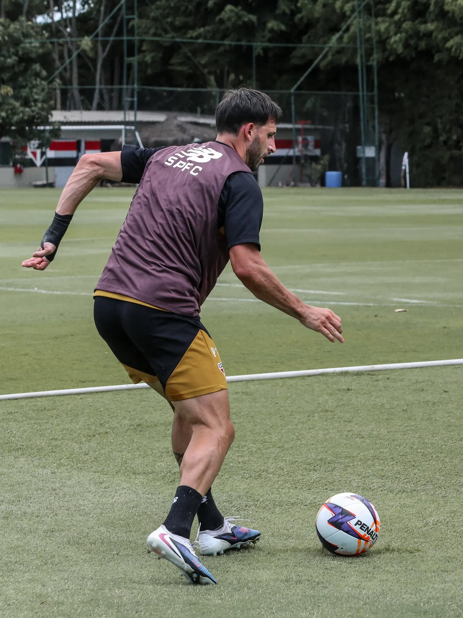 Imagem ilustrativa para a matéria