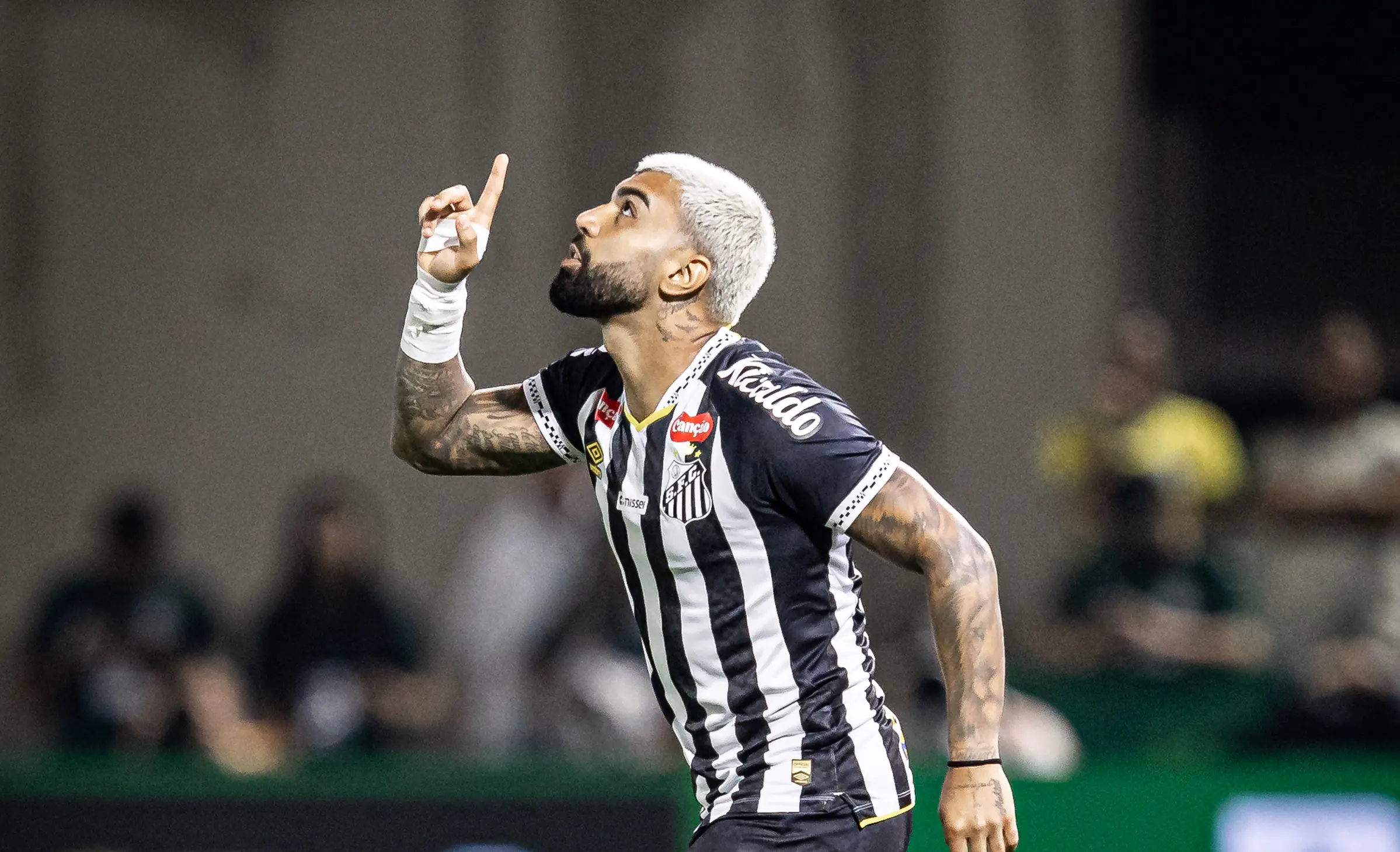 Imagem ilustrativa para a matéria