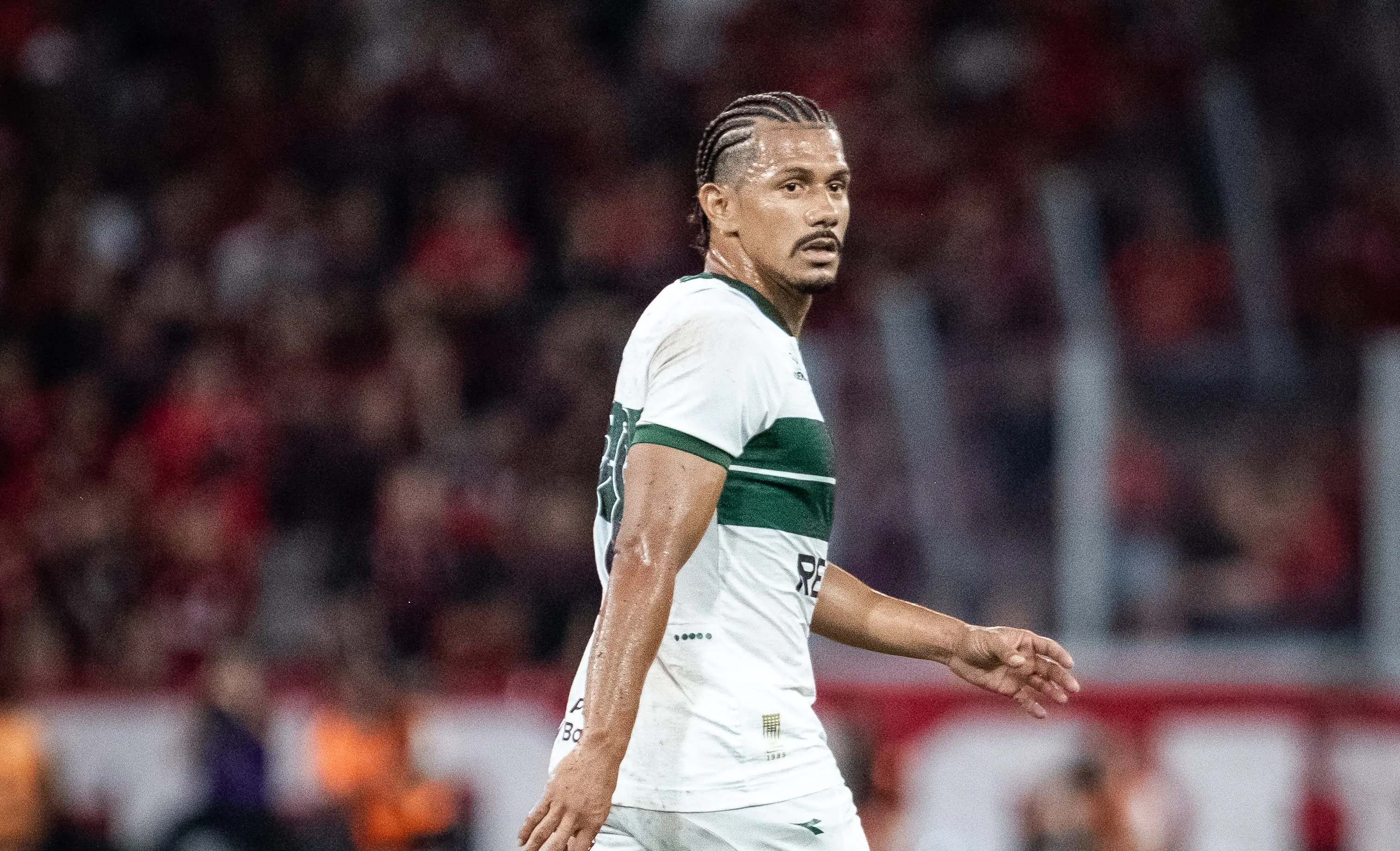 Imagem ilustrativa para a matéria