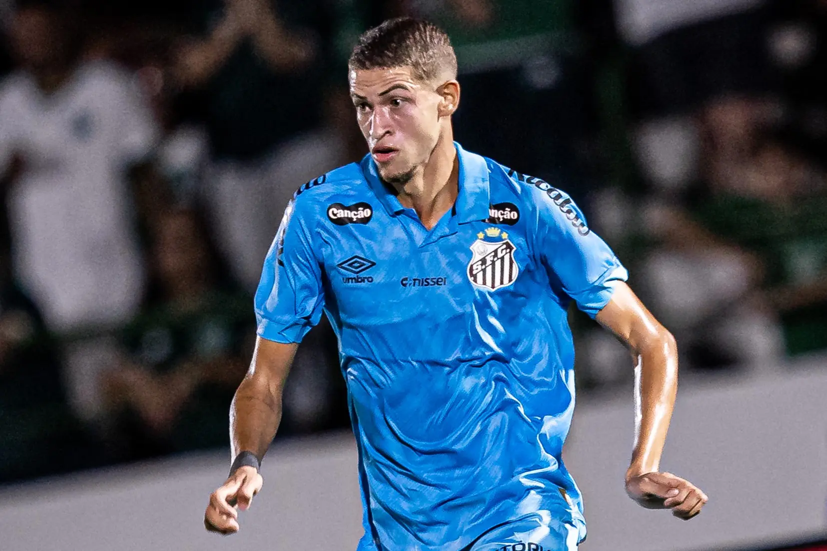 Imagem ilustrativa para a matéria