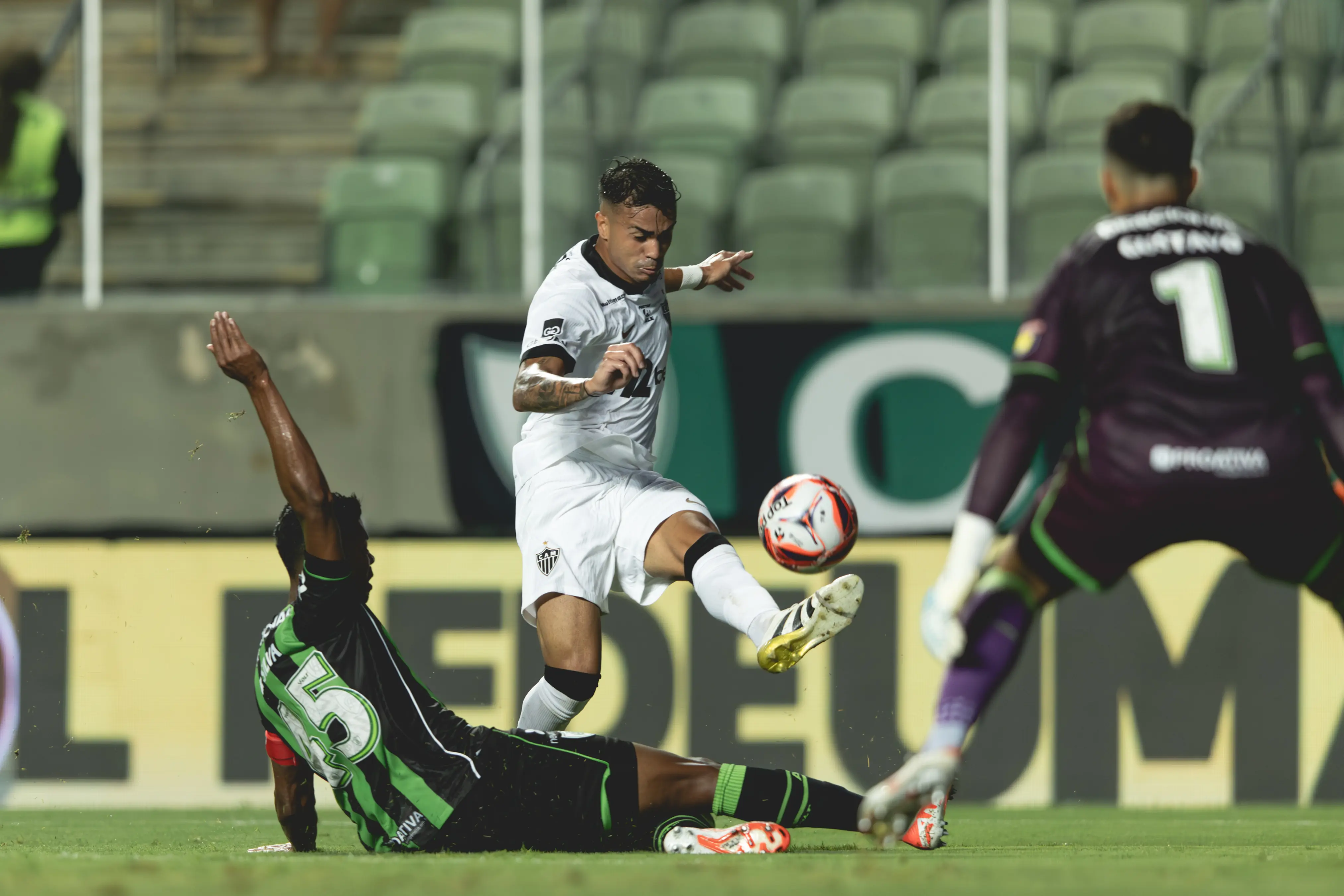 Imagem ilustrativa para a matéria