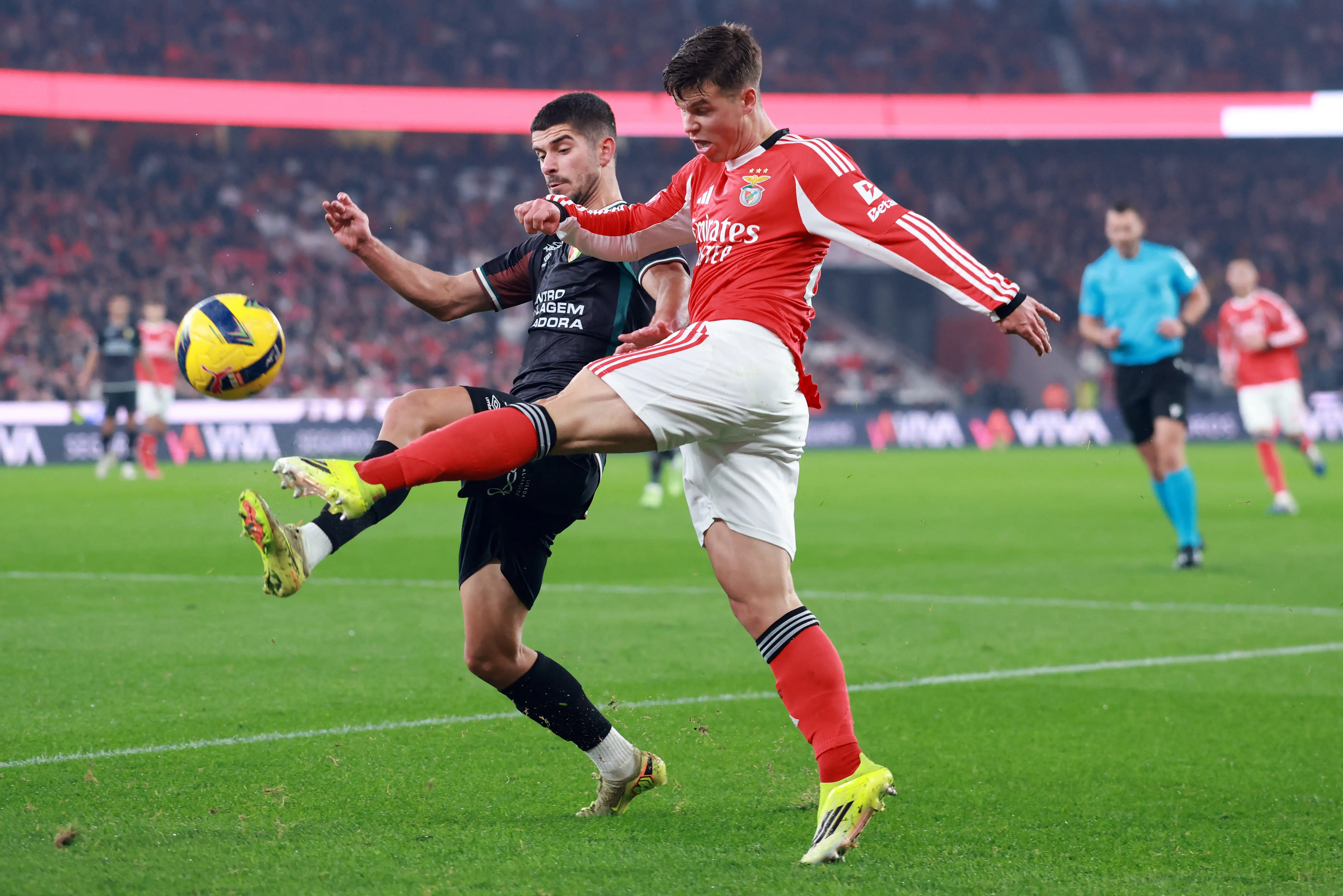 Imagem ilustrativa para a matéria