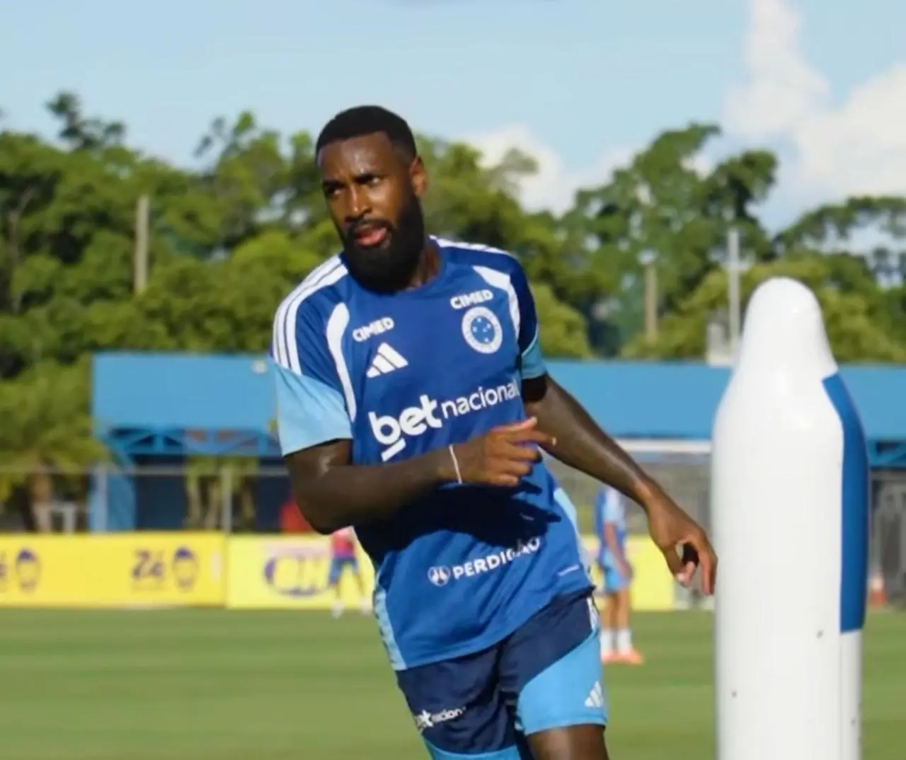 Imagem ilustrativa para a matéria