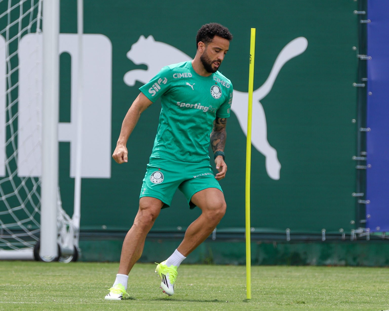 Palmeiras se reapresenta cheio de novidades, após vitória decisiva no clássico contra o Santos