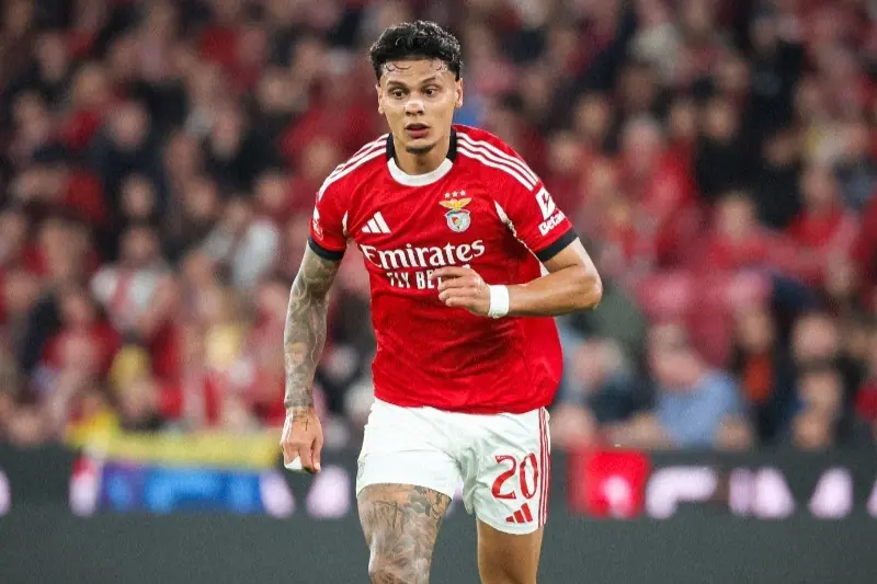 Imagem ilustrativa para a matéria