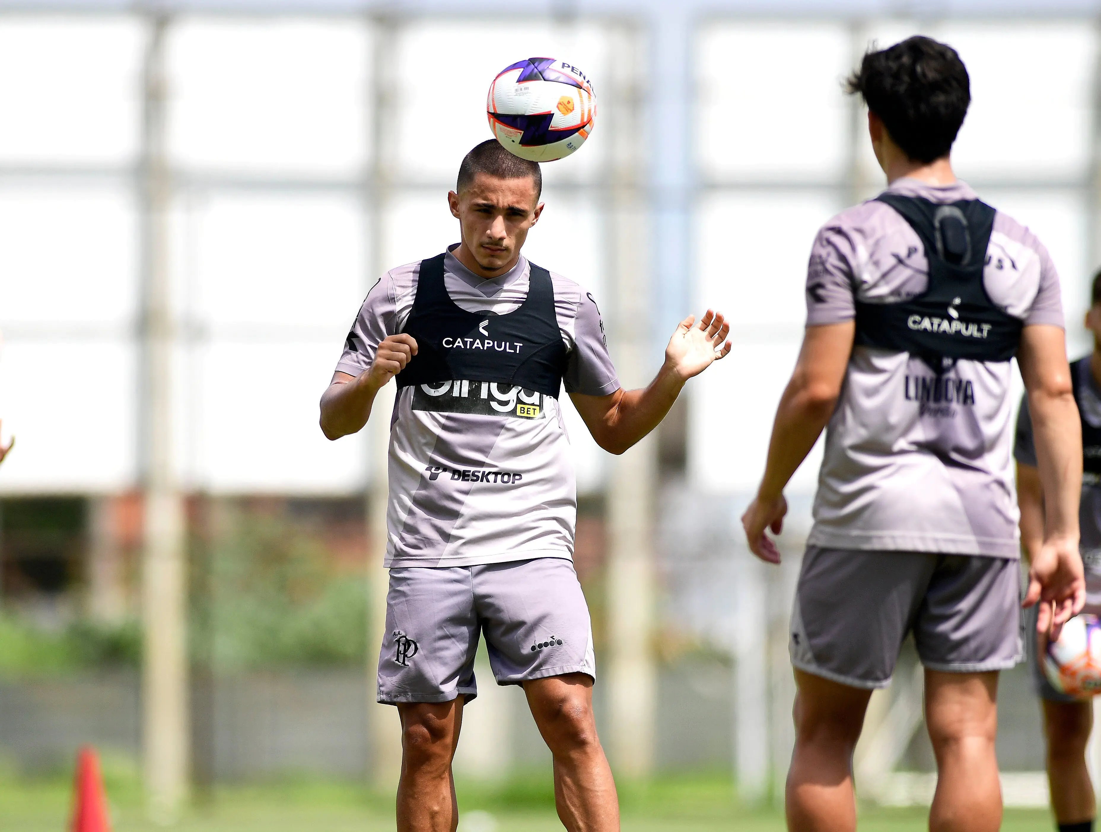 Imagem ilustrativa para a matéria