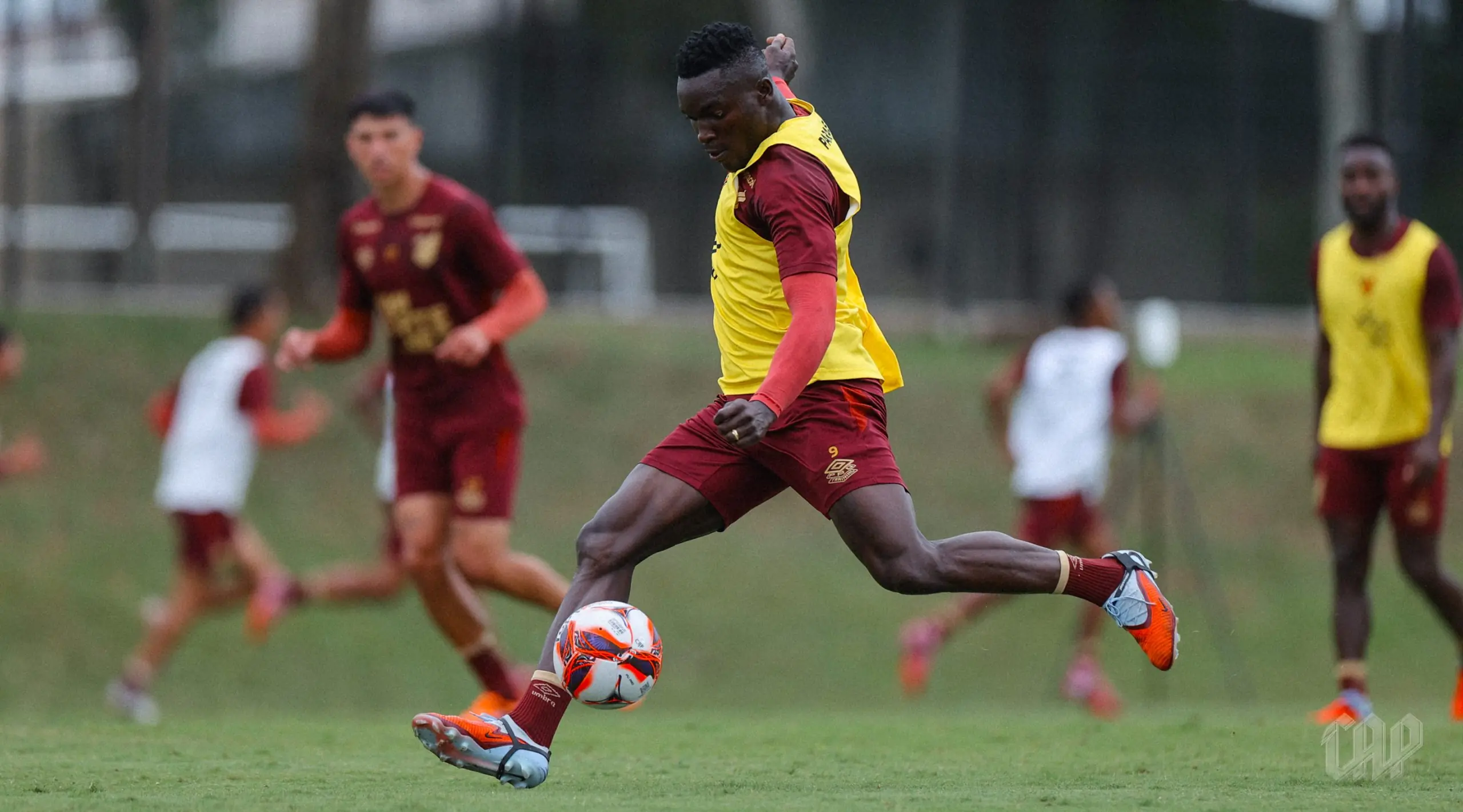 Imagem ilustrativa para a matéria