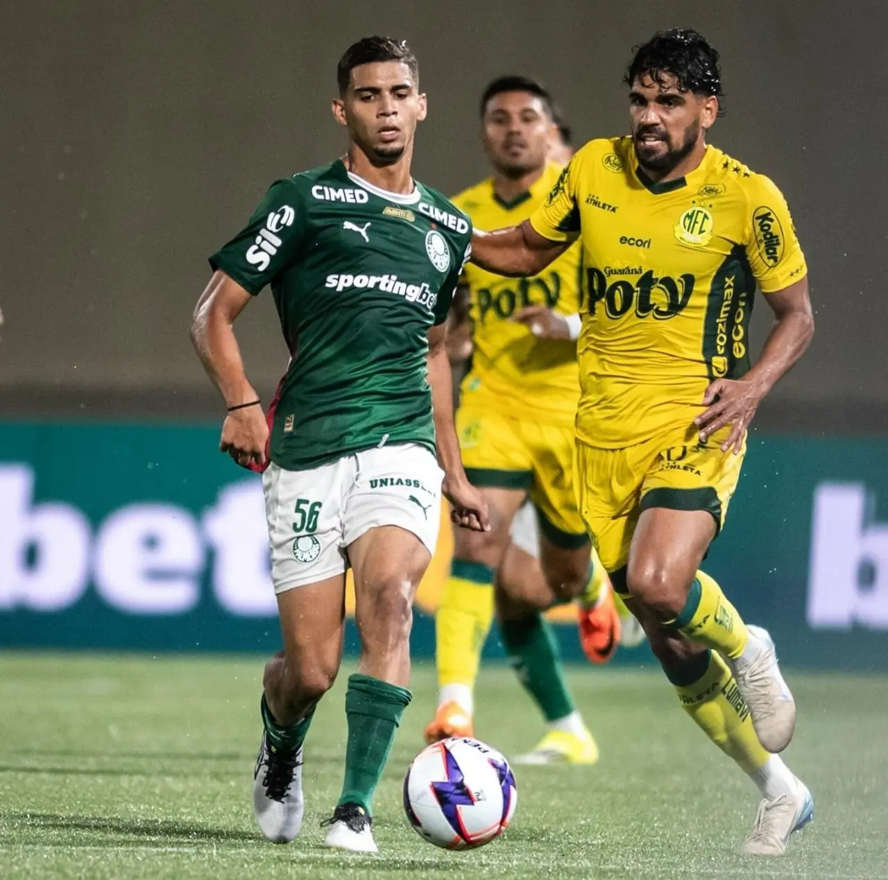 Imagem ilustrativa para a matéria