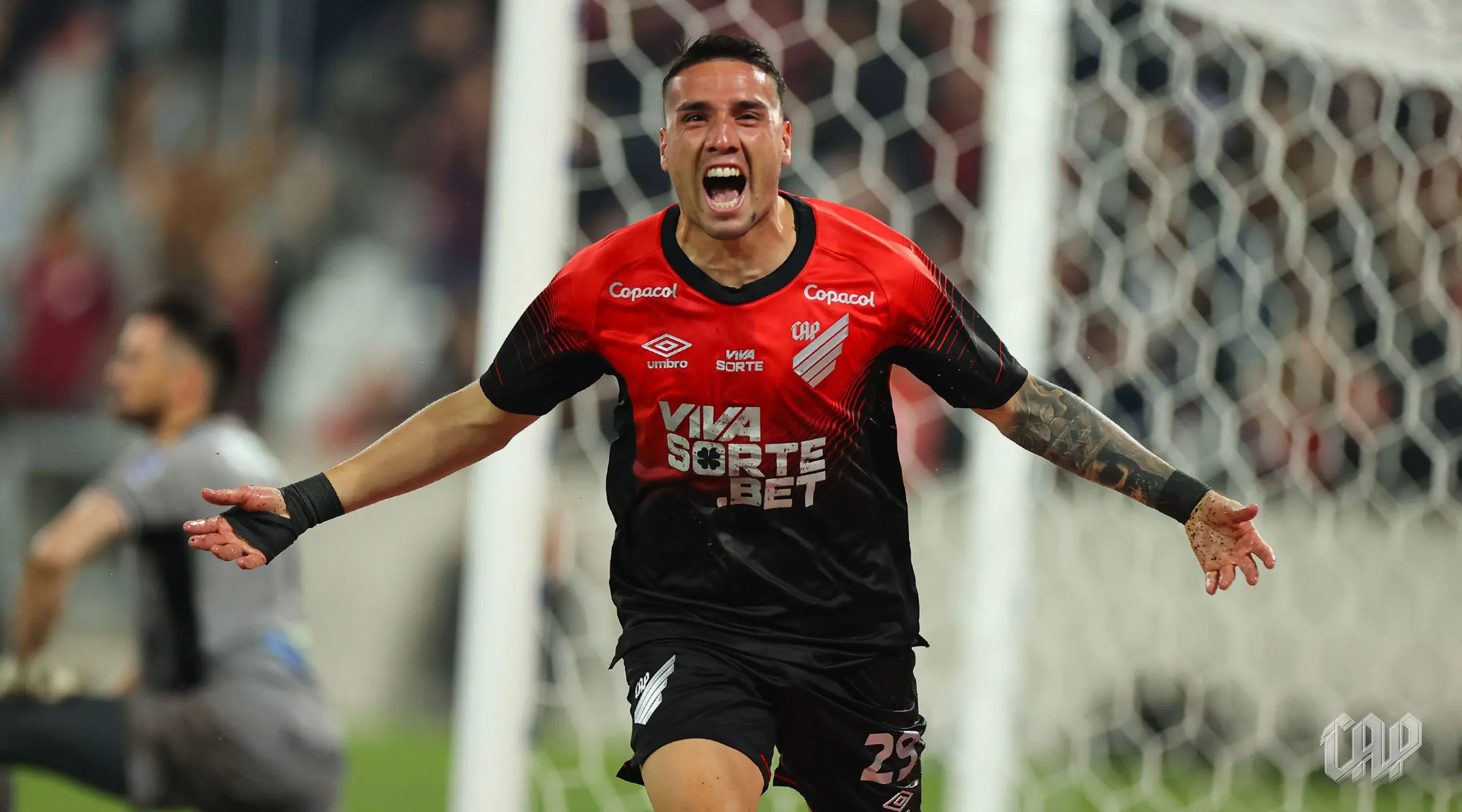 Imagem ilustrativa para a matéria