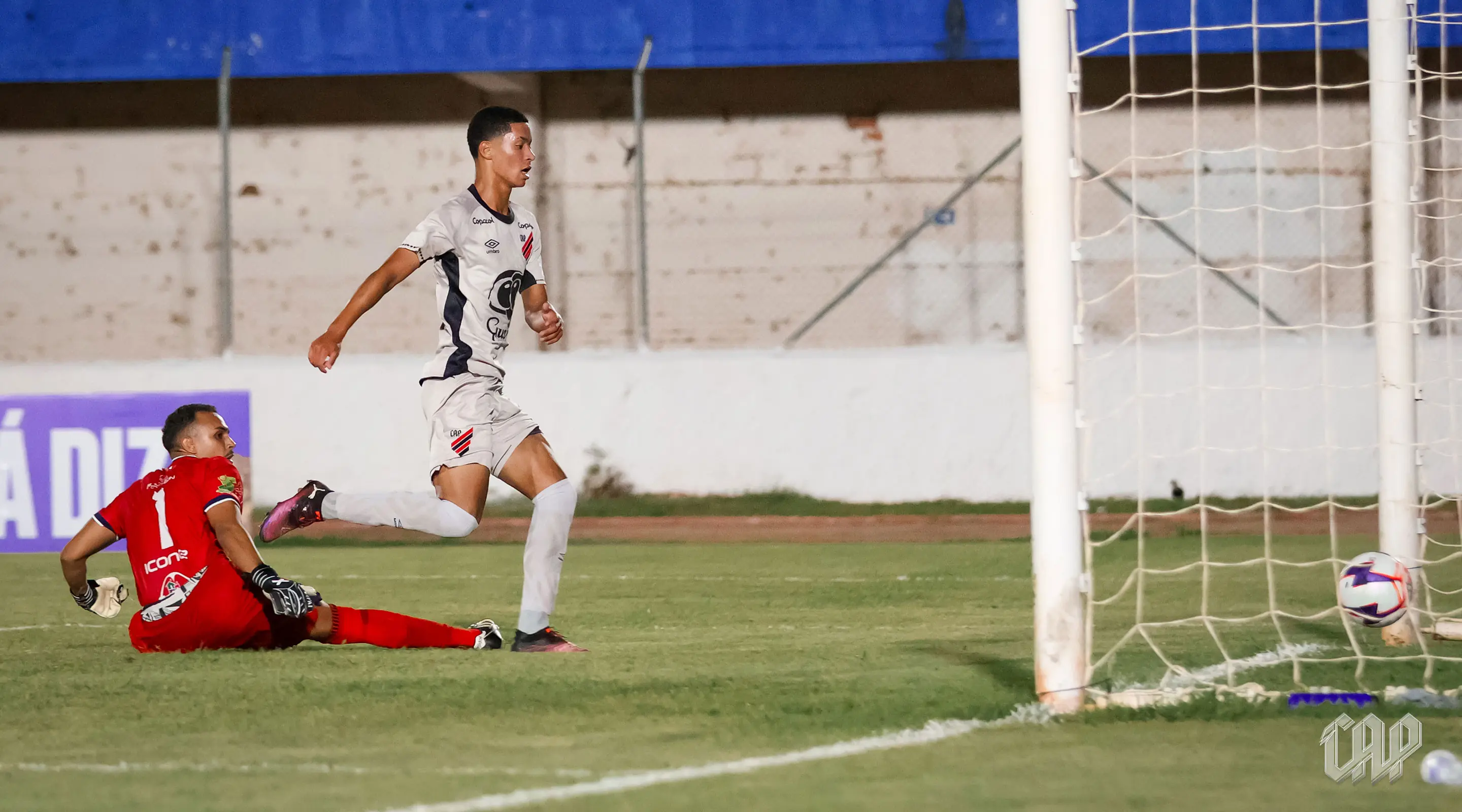 Imagem ilustrativa para a matéria