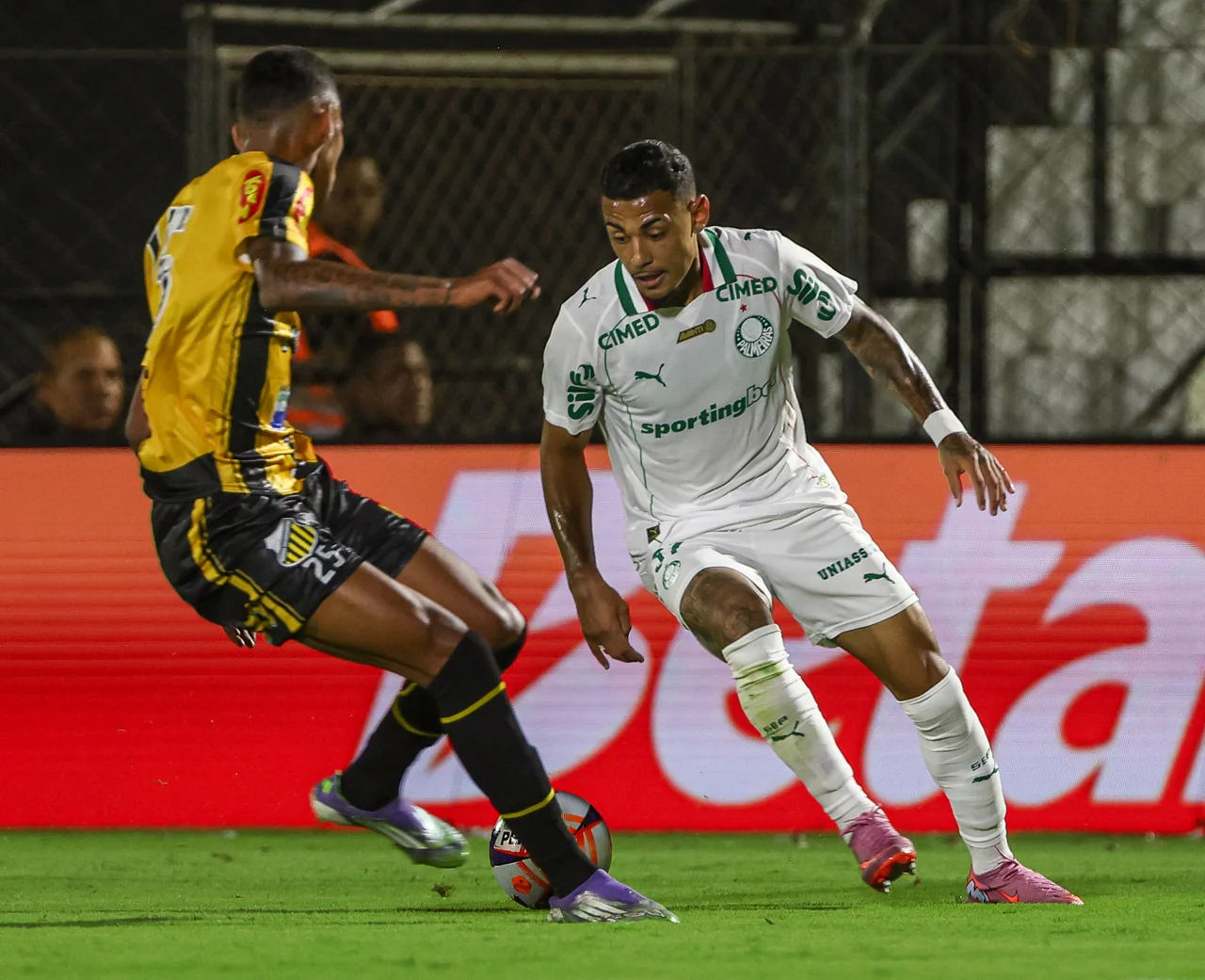 Imagem ilustrativa para a matéria