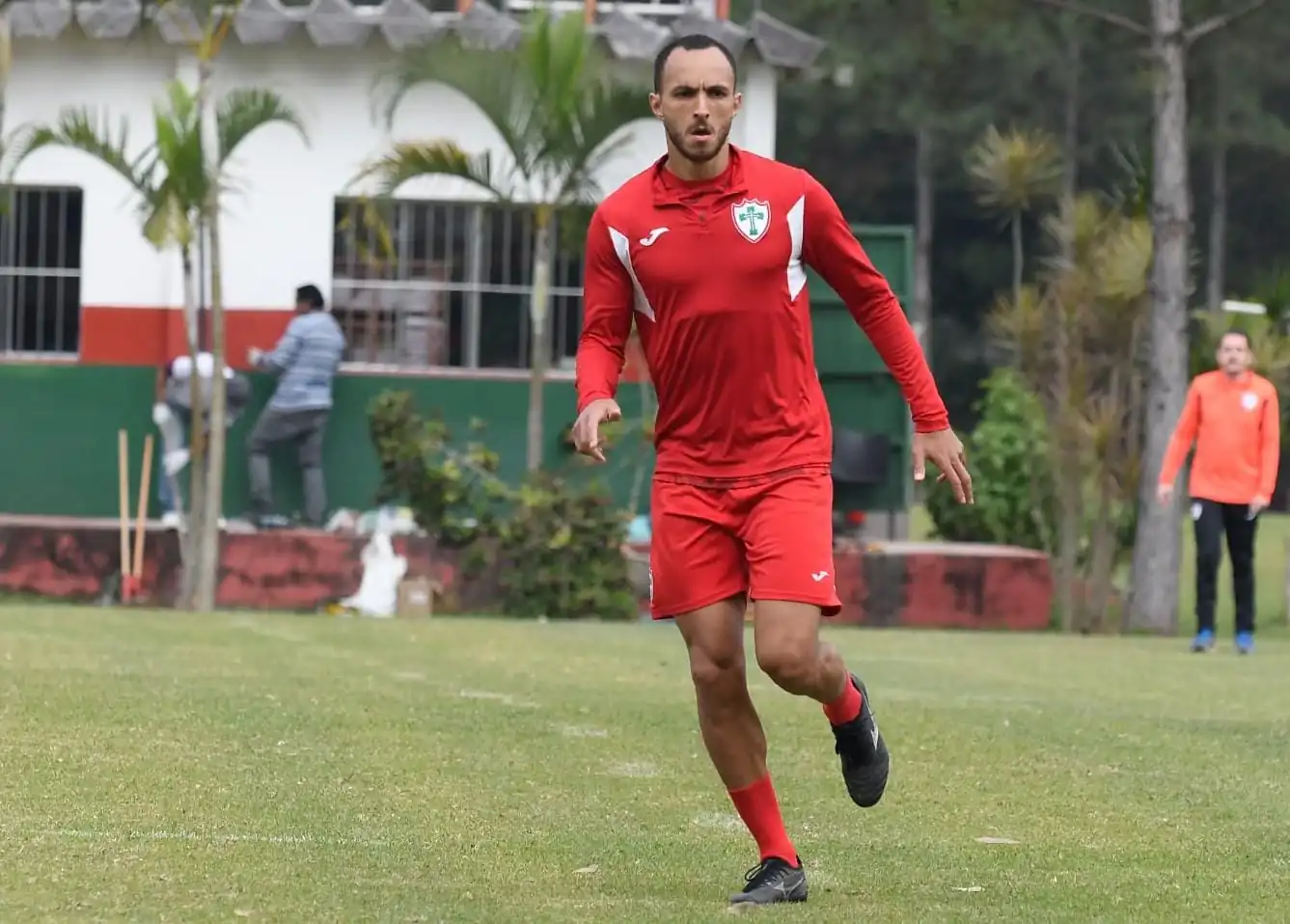 Imagem ilustrativa para a matéria