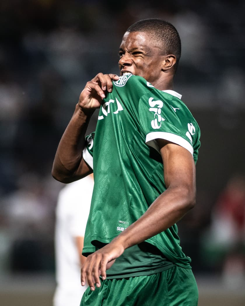 Palmeiras é contestado por dirigente: 