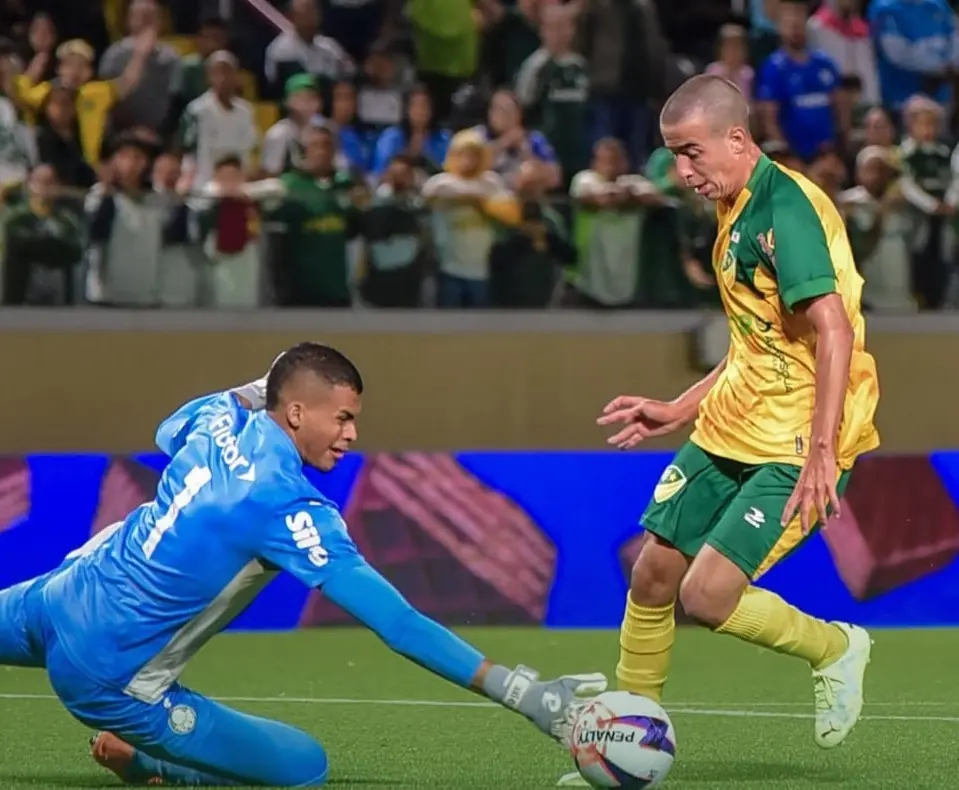 Imagem ilustrativa para a matéria