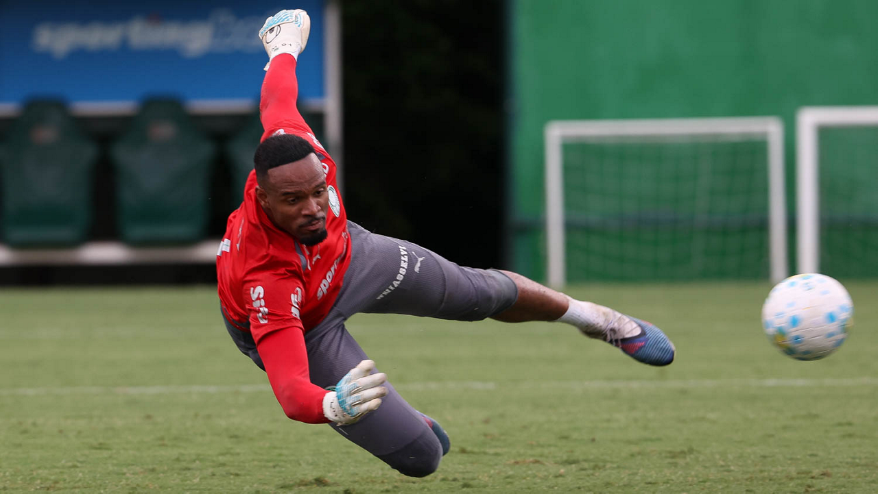 Evolução em Campo: Carlos Miguel Enaltece Trabalho da Comissão Técnica no Palmeiras