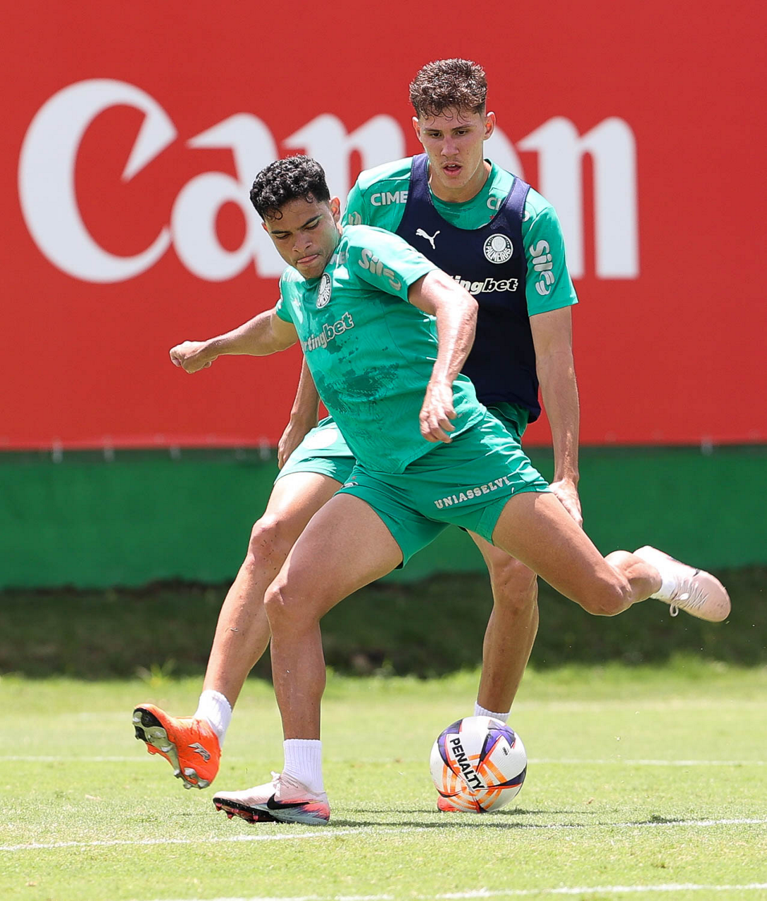 O Fim do Ciclo: Bruno Rodrigues atacante do Palmeiras busca recomeço em rival
