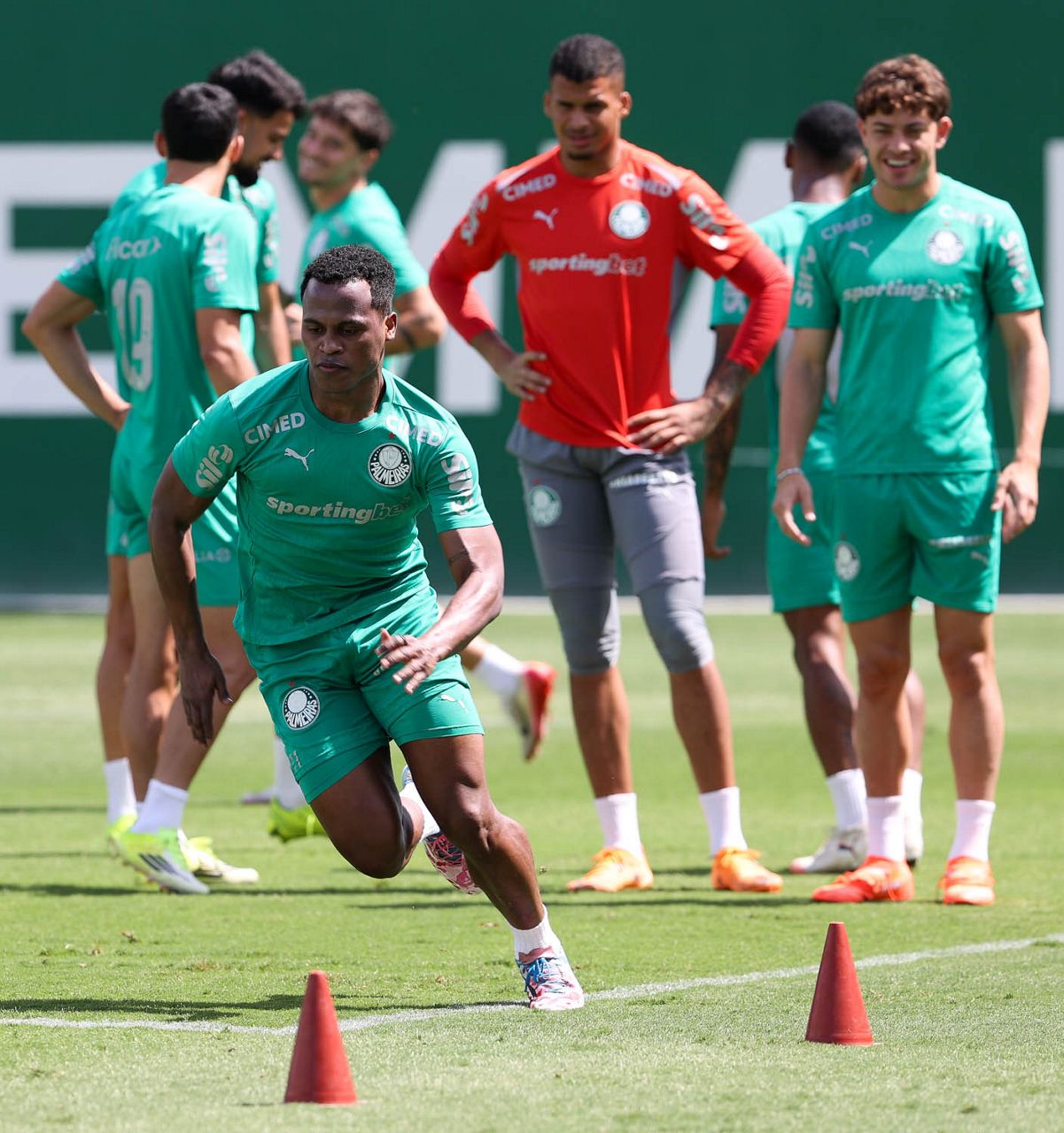 Foco na decisão!! Palmeiras faz treino intenso em preparação para mata a mata do Paulistão!