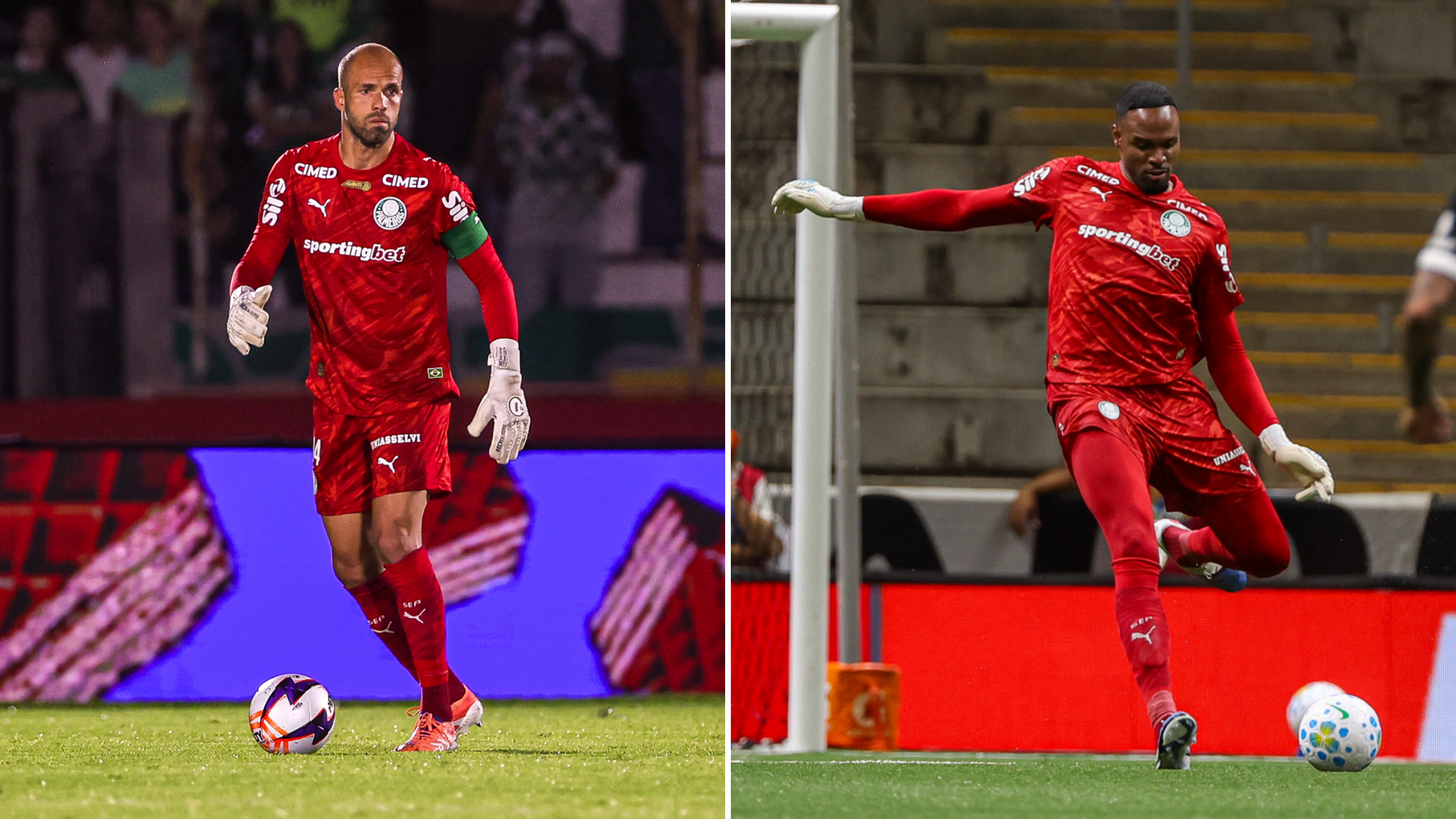 Abel define prioridade após oscilações entre goleiros no Palmeiras