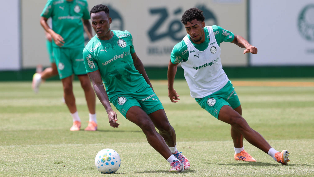 Palmeiras se classifica para semifinal e se reapresenta com foco para enfrentar rival no Brasileirão!