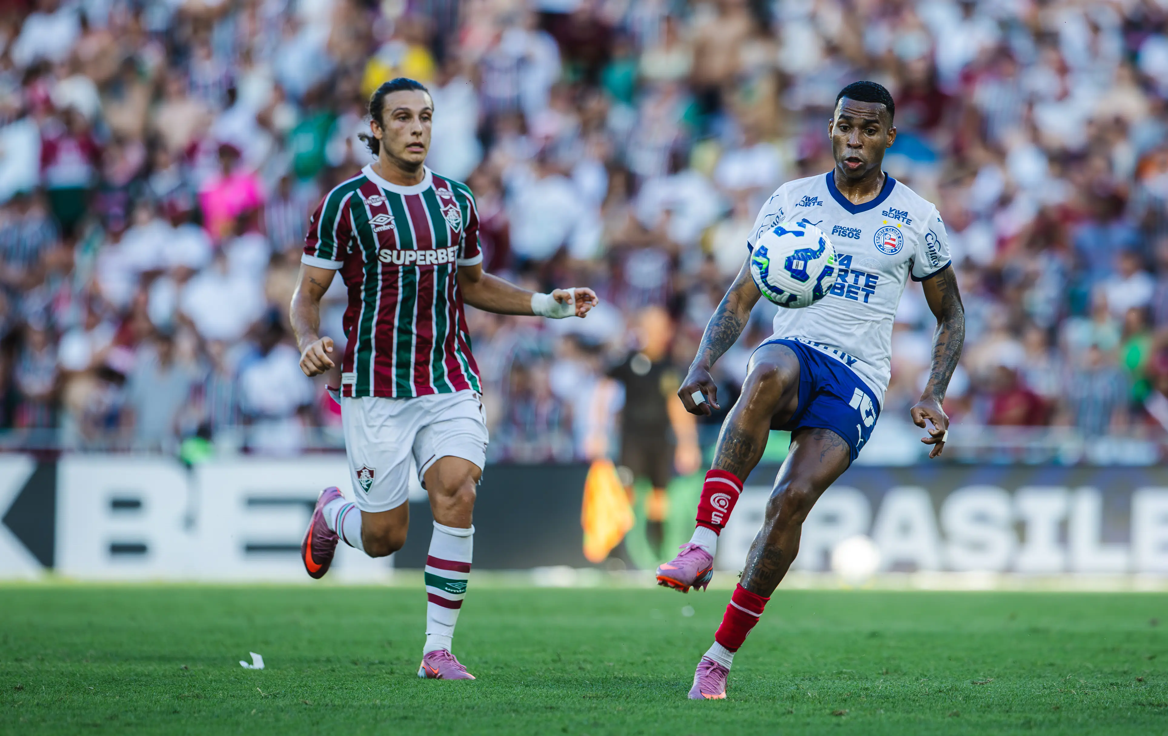 Imagem ilustrativa para a matéria