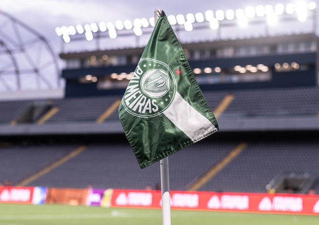 Palmeiras e Guarani se Enfrentam no Paulistão: Detalhes da Partida, Estatísticas e Prováveis Escalações