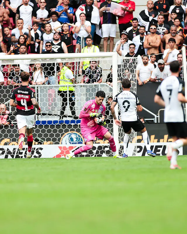 Imagem ilustrativa para a matéria