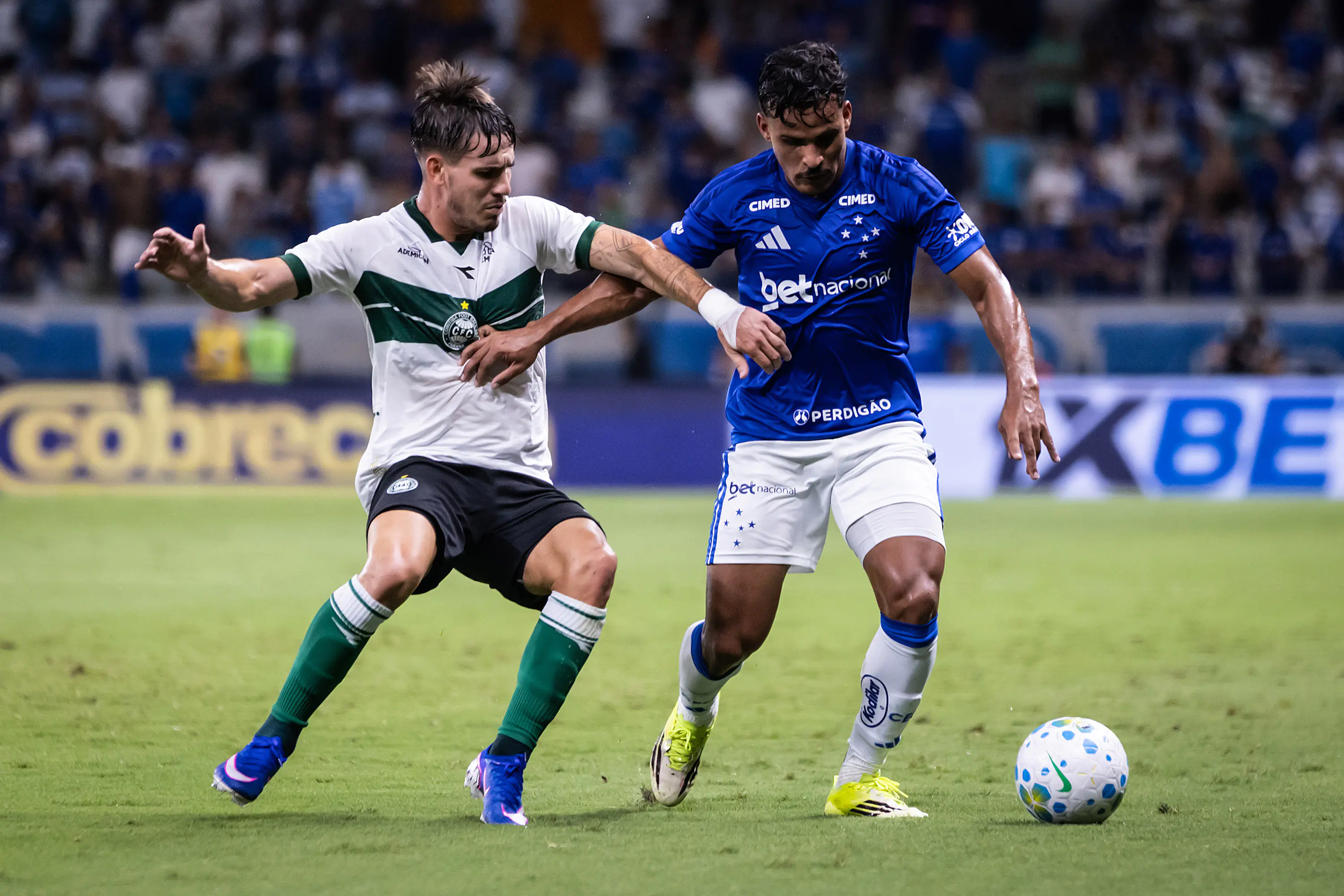 Imagem ilustrativa para a matéria