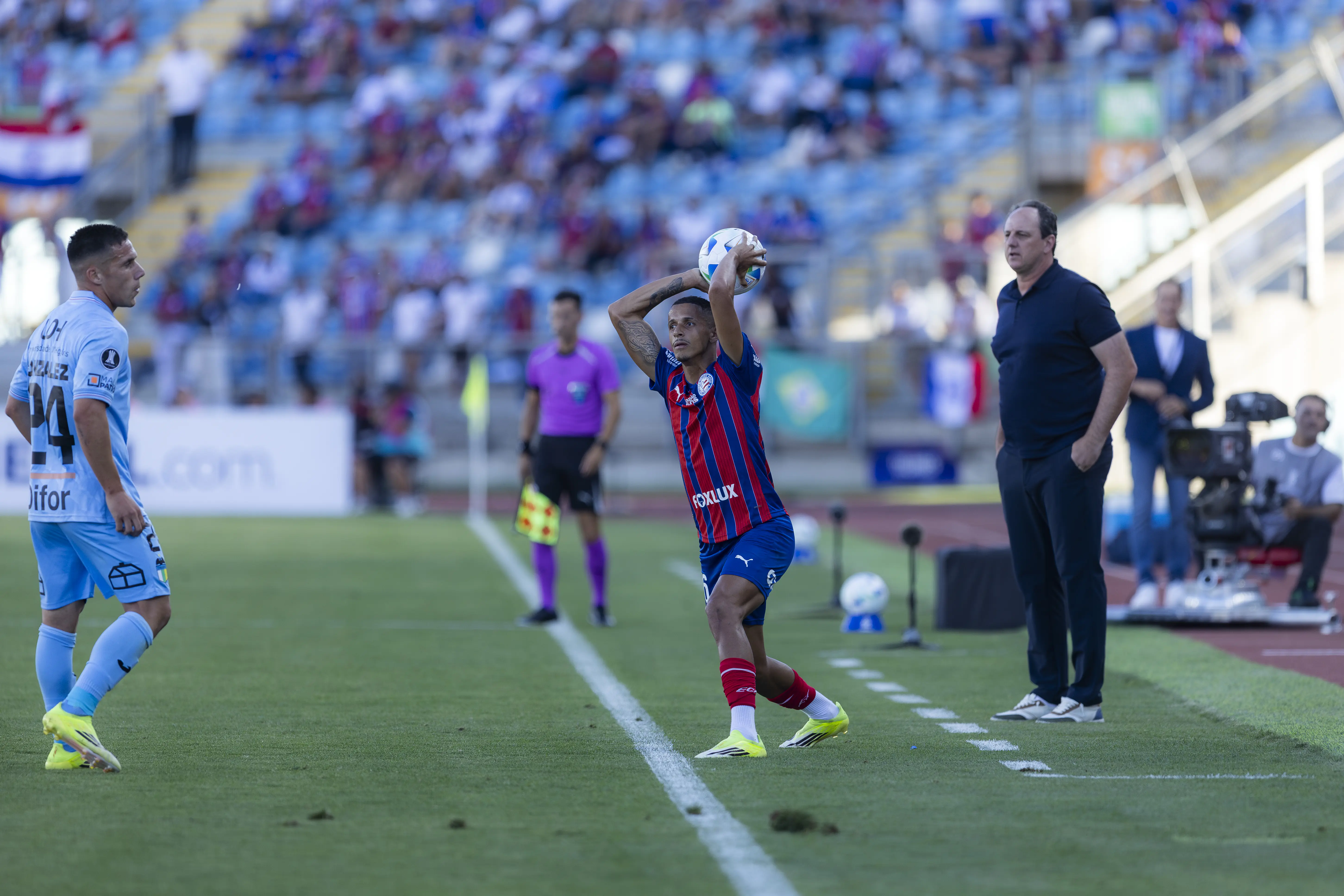 Imagem ilustrativa para a matéria