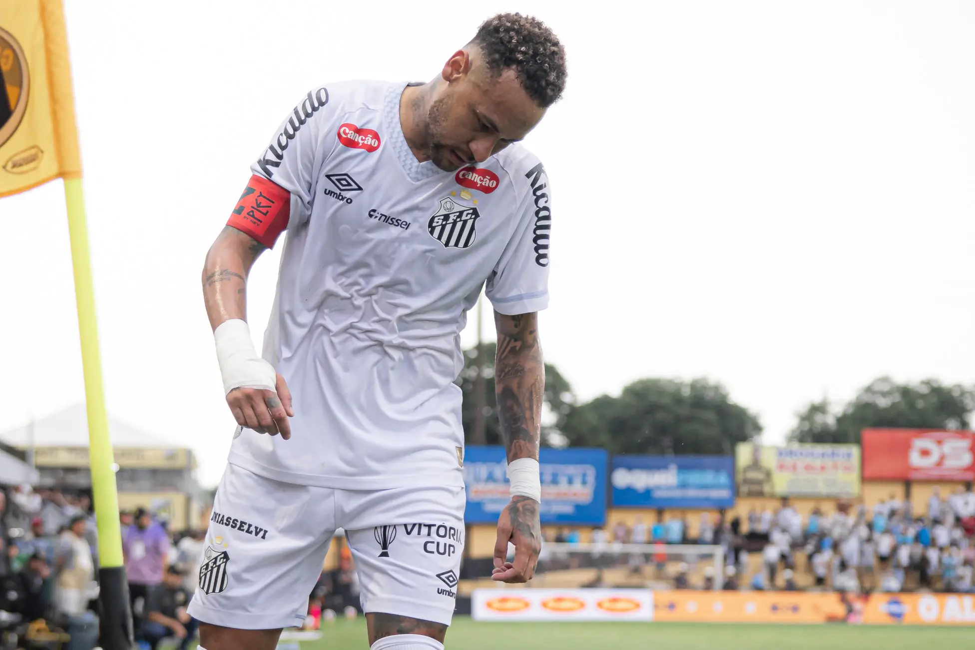 Imagem ilustrativa para a matéria