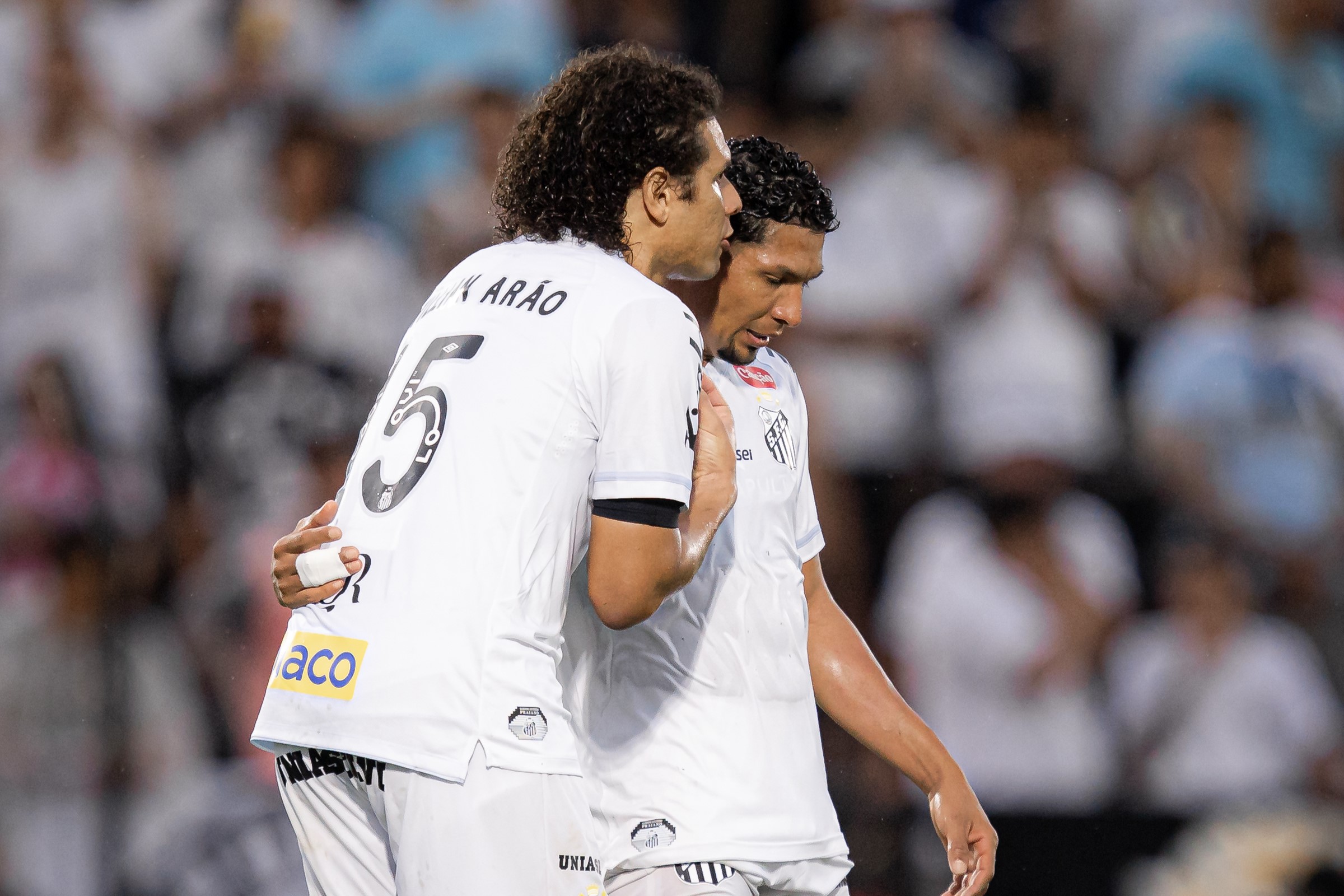 Santos e Vasco se enfrentam pelo Brasileirão: saiba onde assistir e prováveis escalações