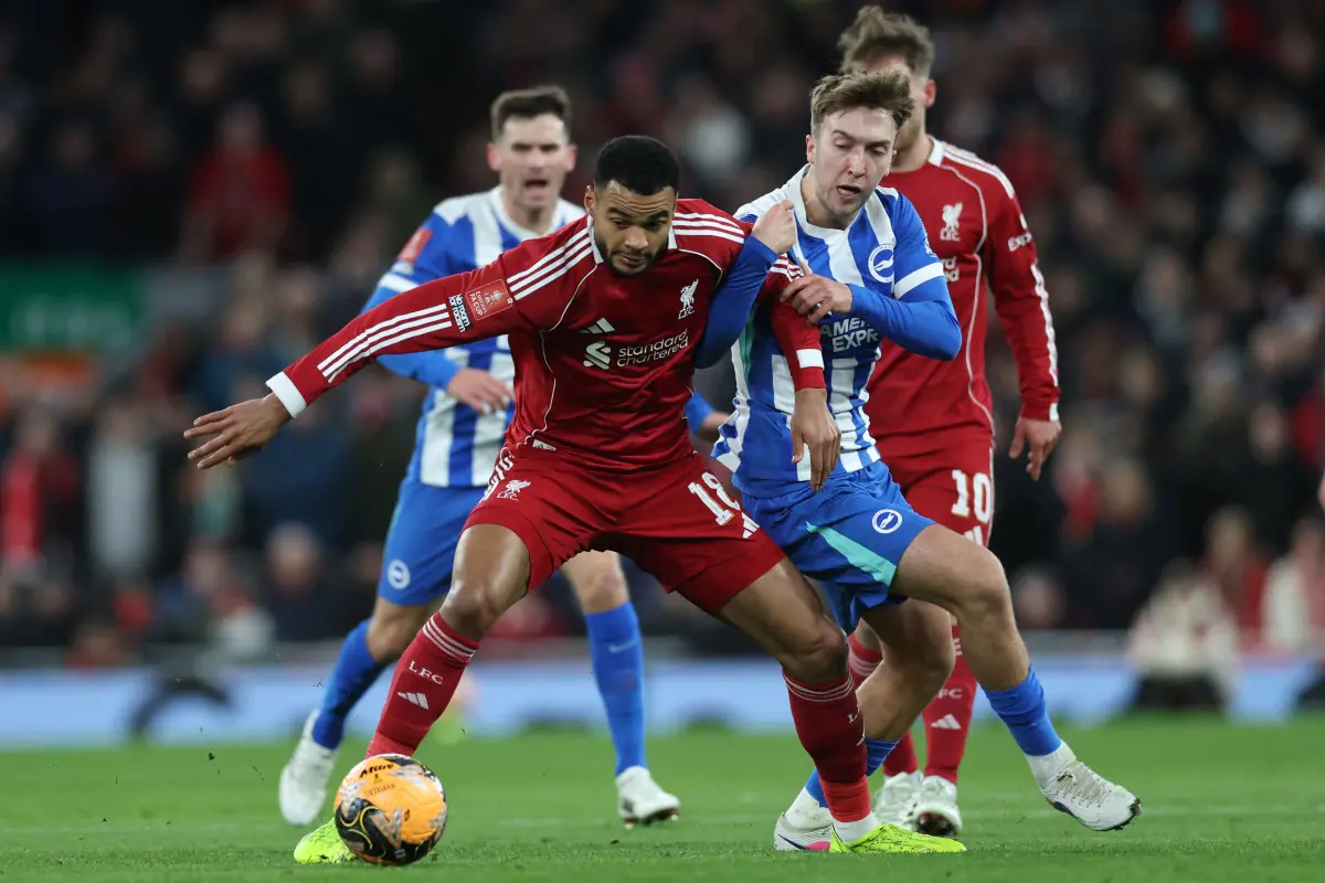 Imagem ilustrativa para a matéria