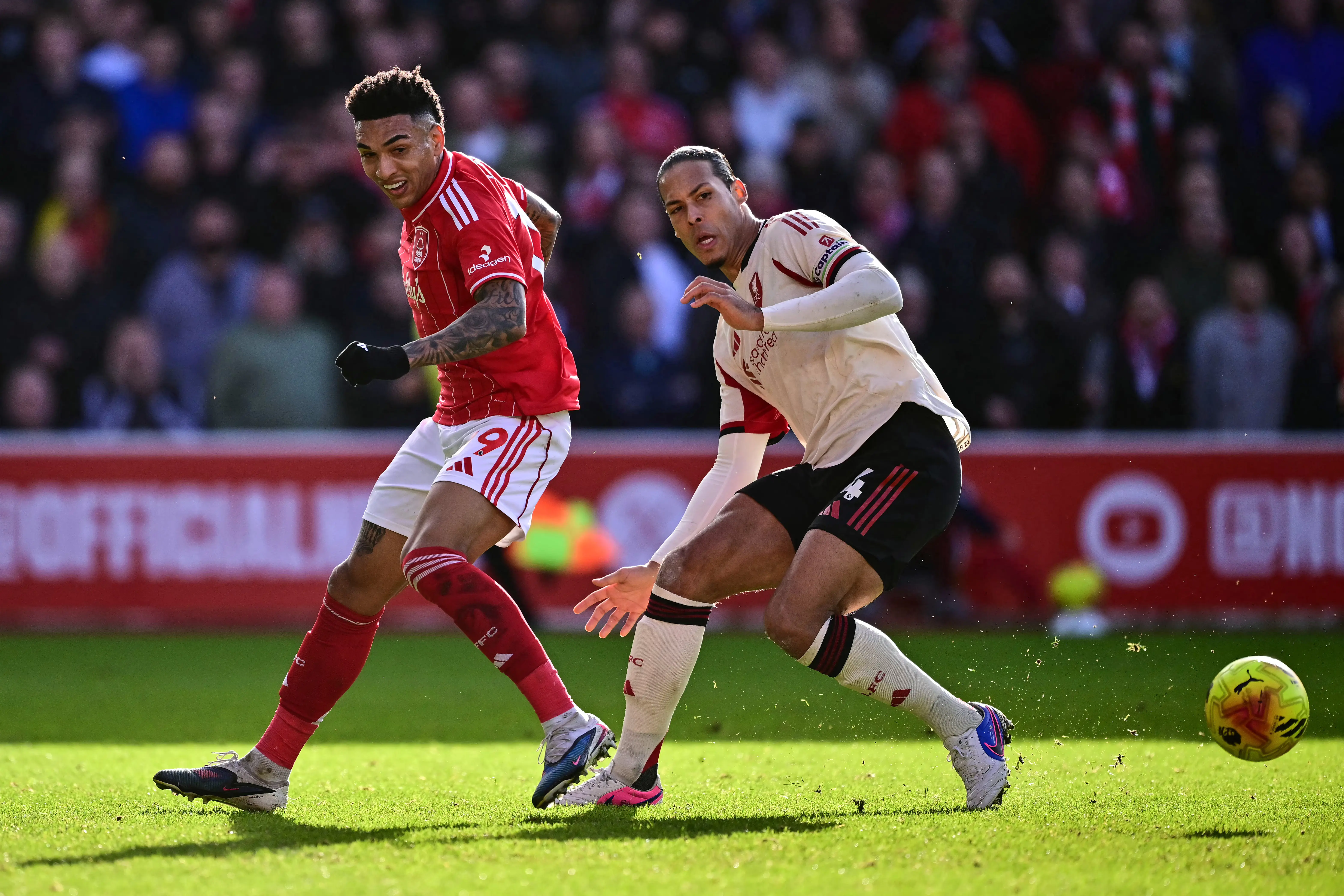 Imagem ilustrativa para a matéria