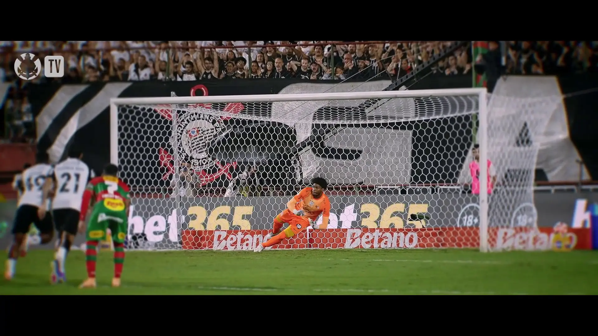 image para ilustrar o artigo