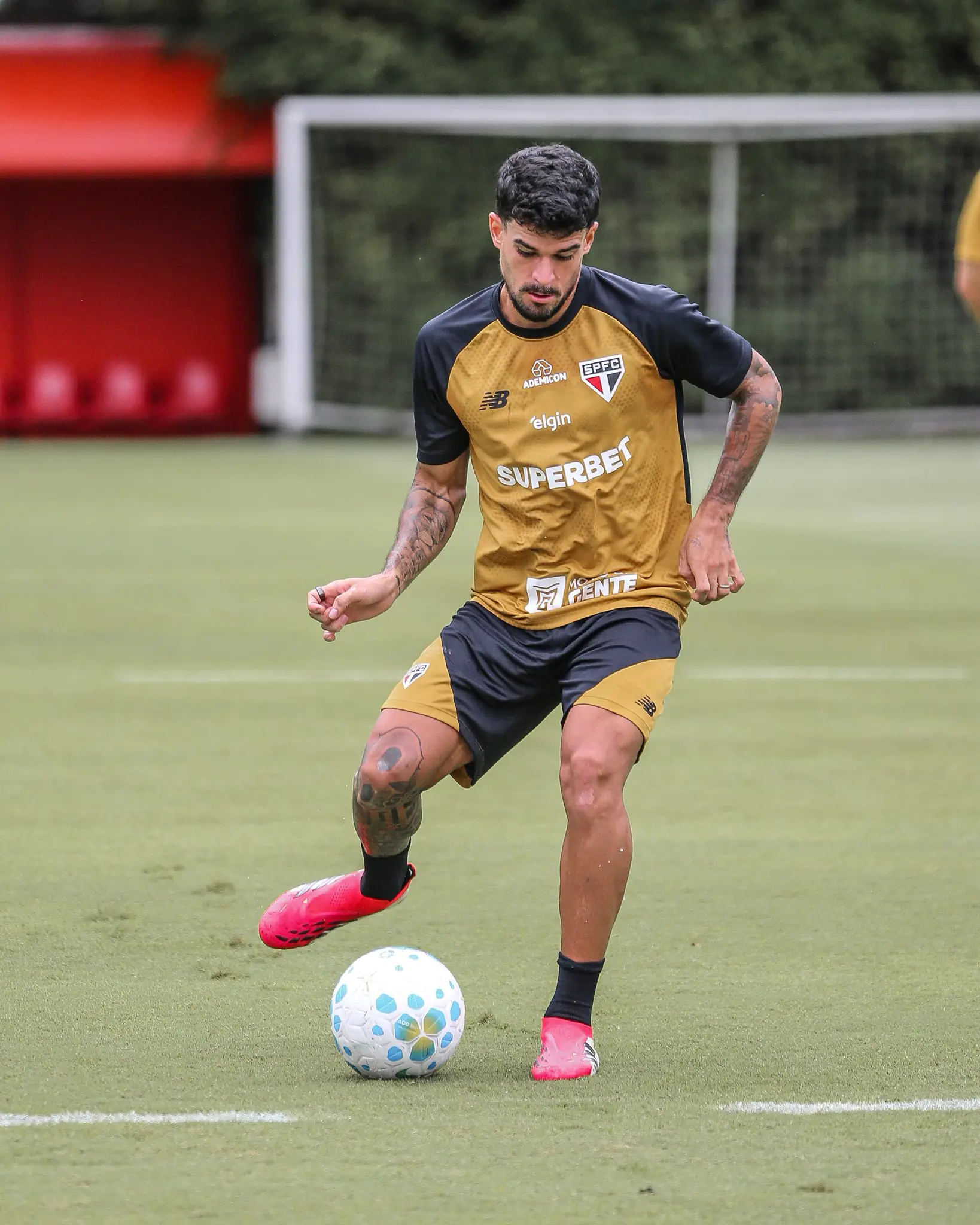 Imagem ilustrativa para a matéria