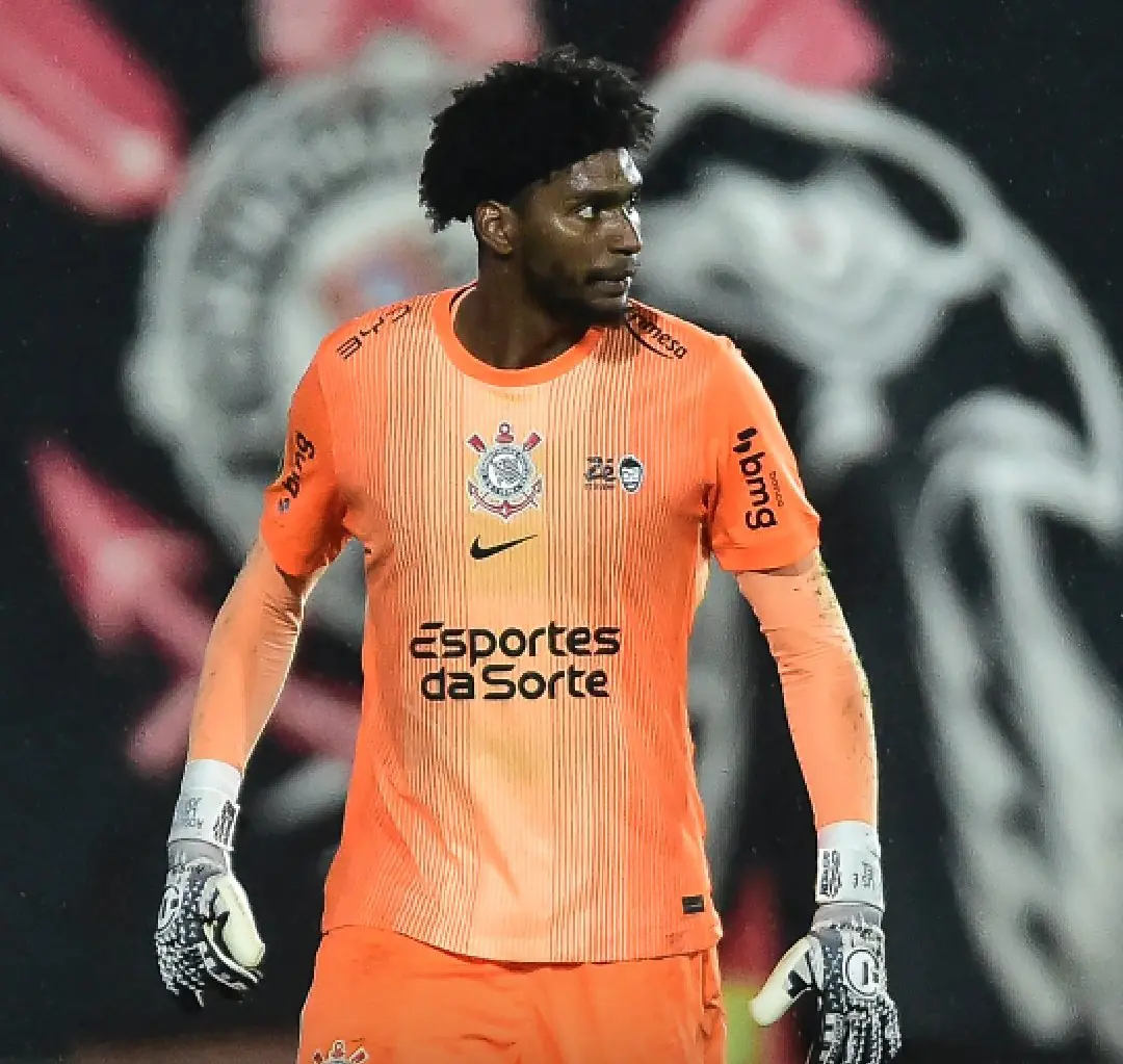 image para ilustrar o artigo