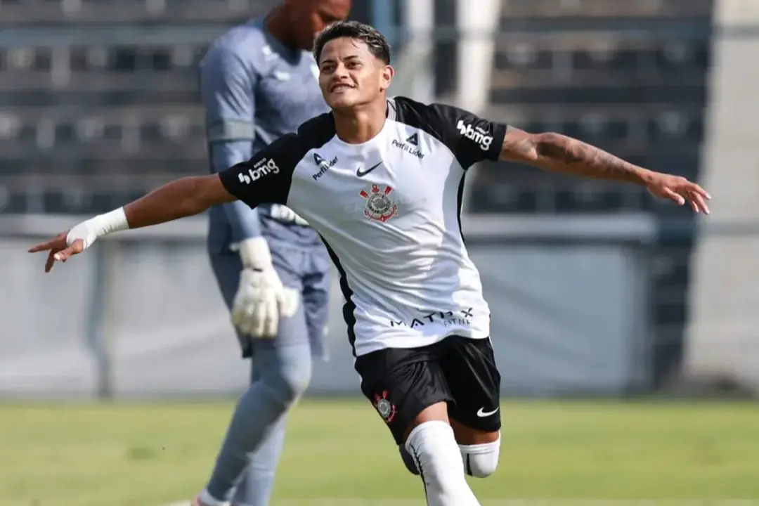 image para ilustrar o artigo