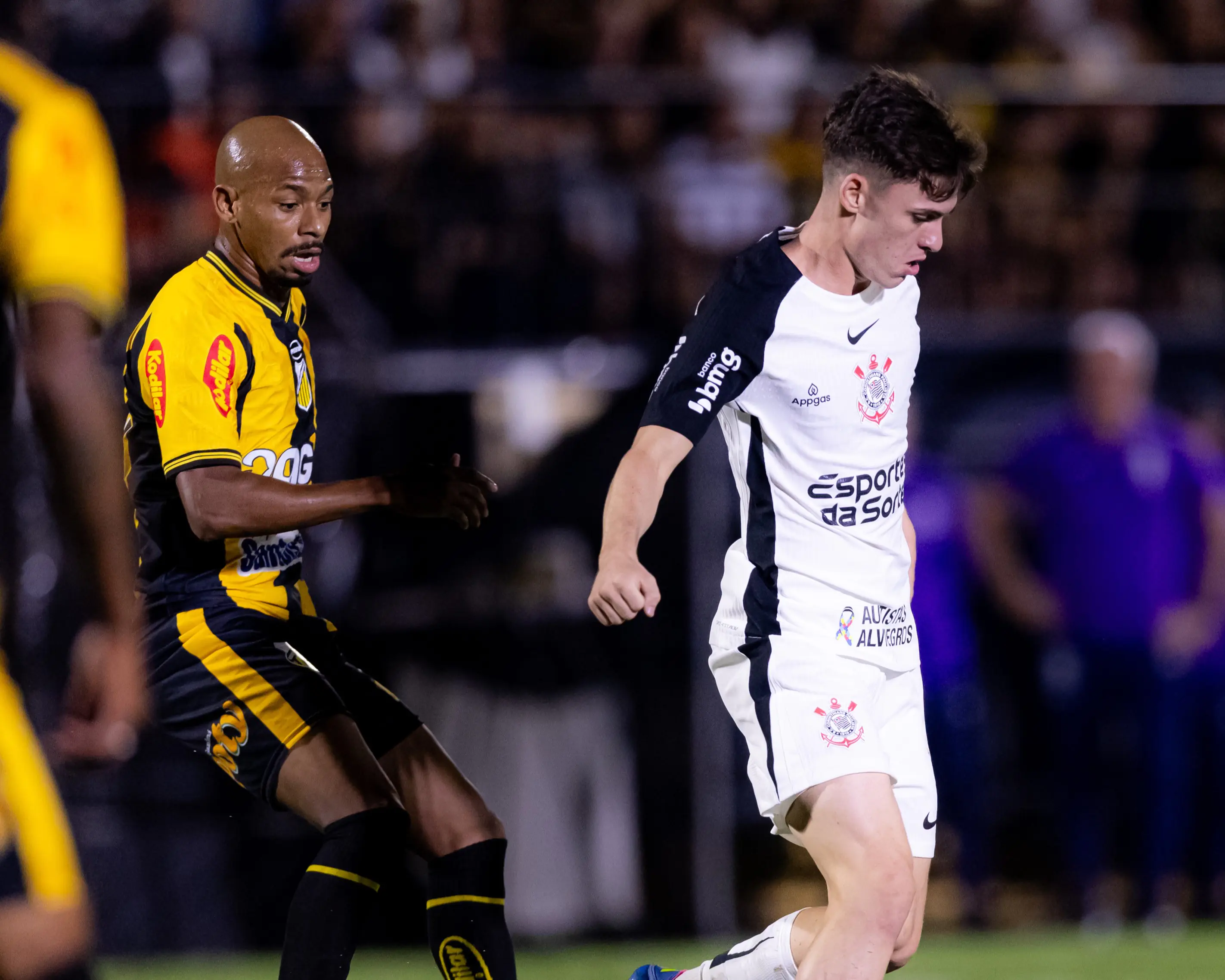 Imagem ilustrativa para a matéria