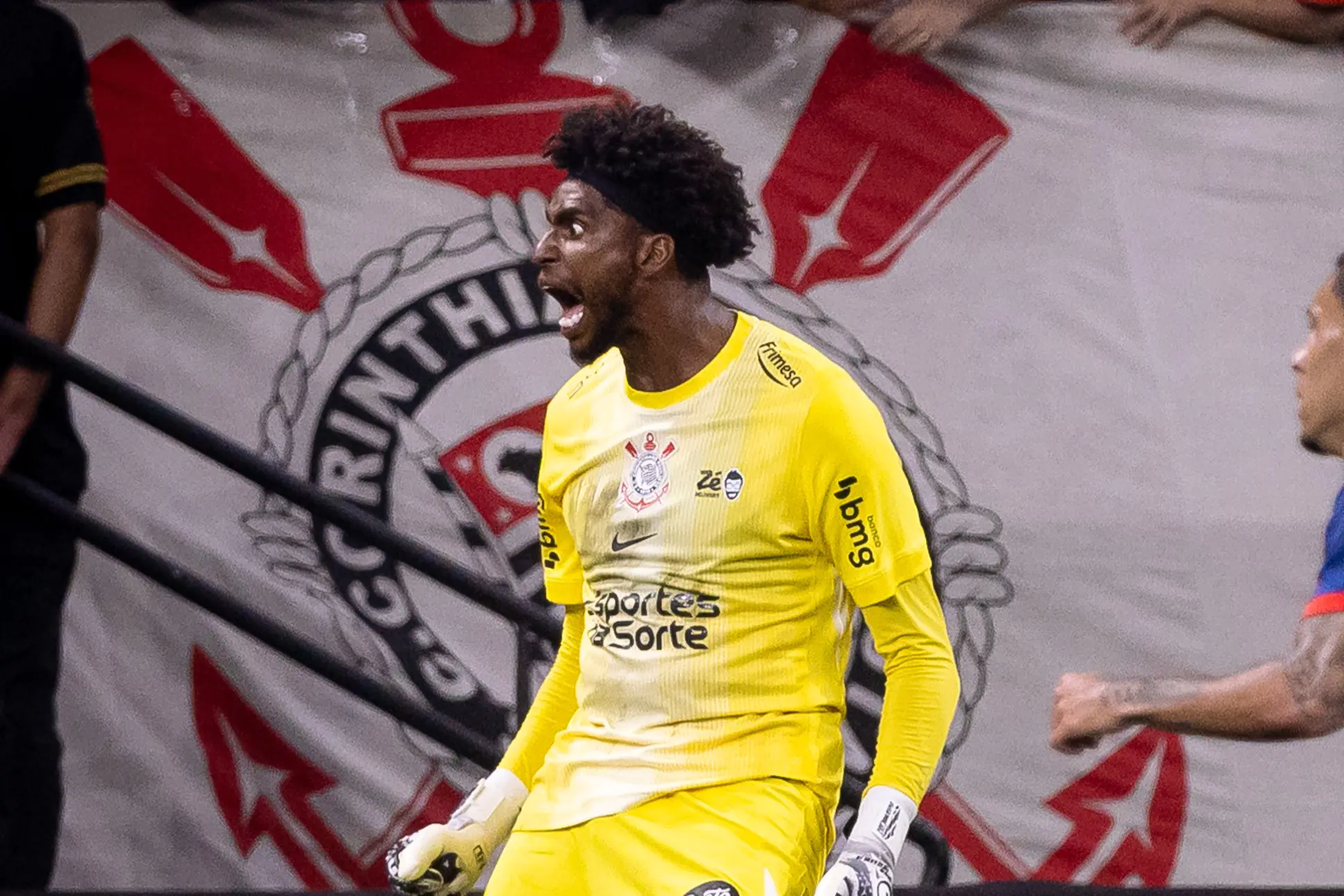 Imagem ilustrativa para a matéria