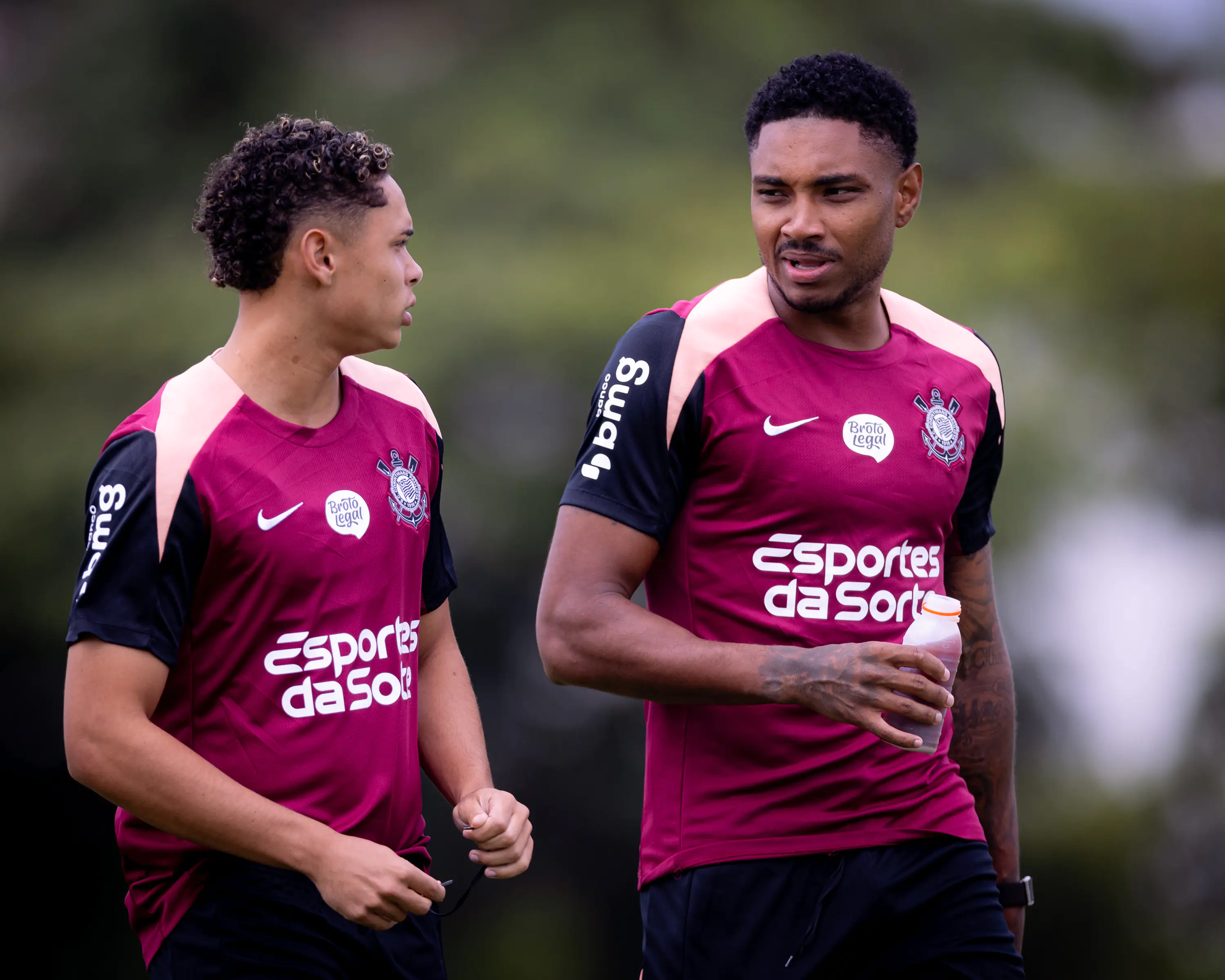 image para ilustrar o artigo