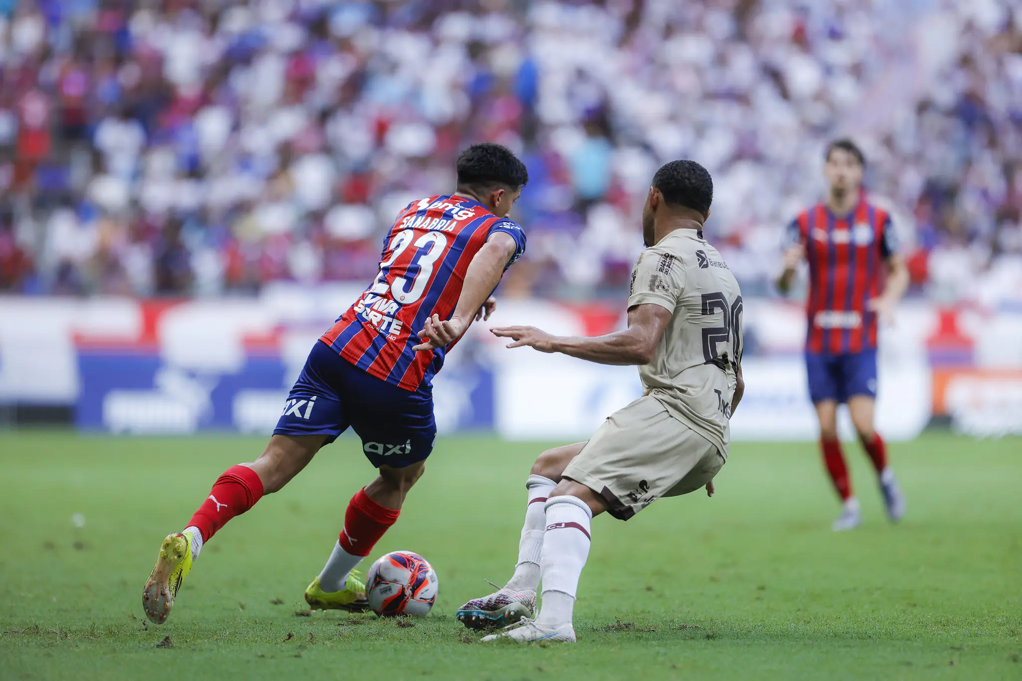 Imagem ilustrativa para a matéria