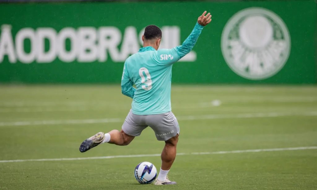 palmeiras