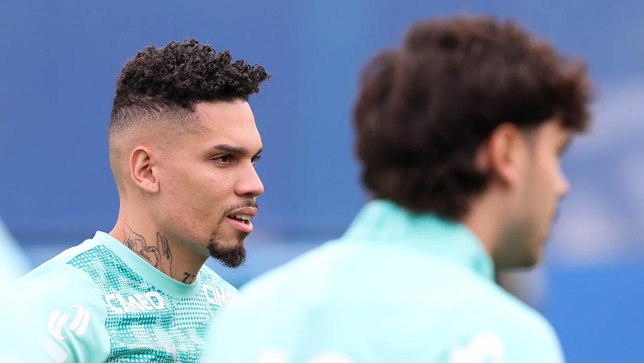 Imagem ilustrativa para a matéria