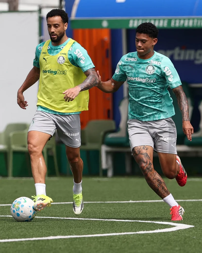 Imagem de capa representando a notícia: 