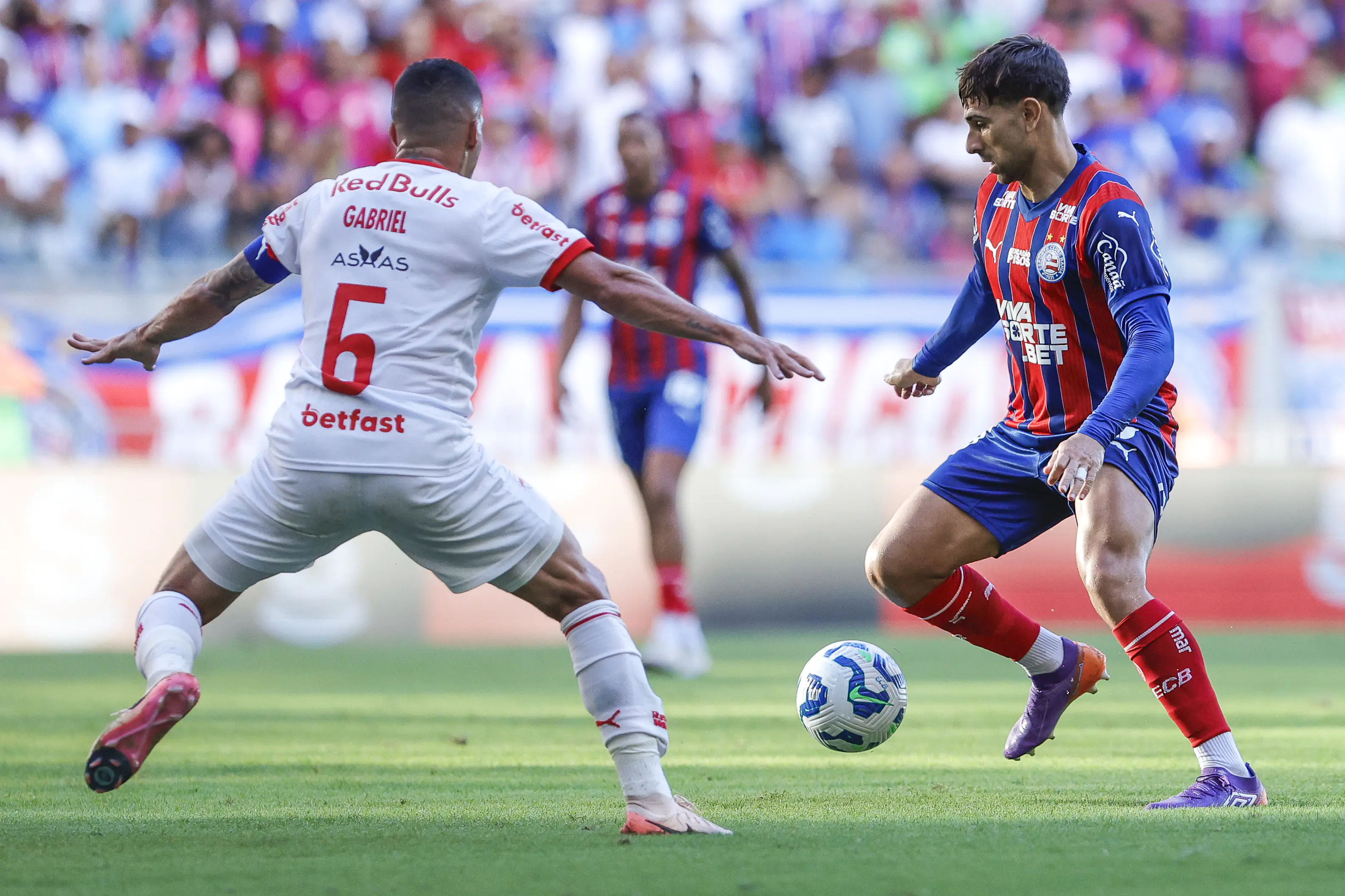 Imagem ilustrativa para a matéria