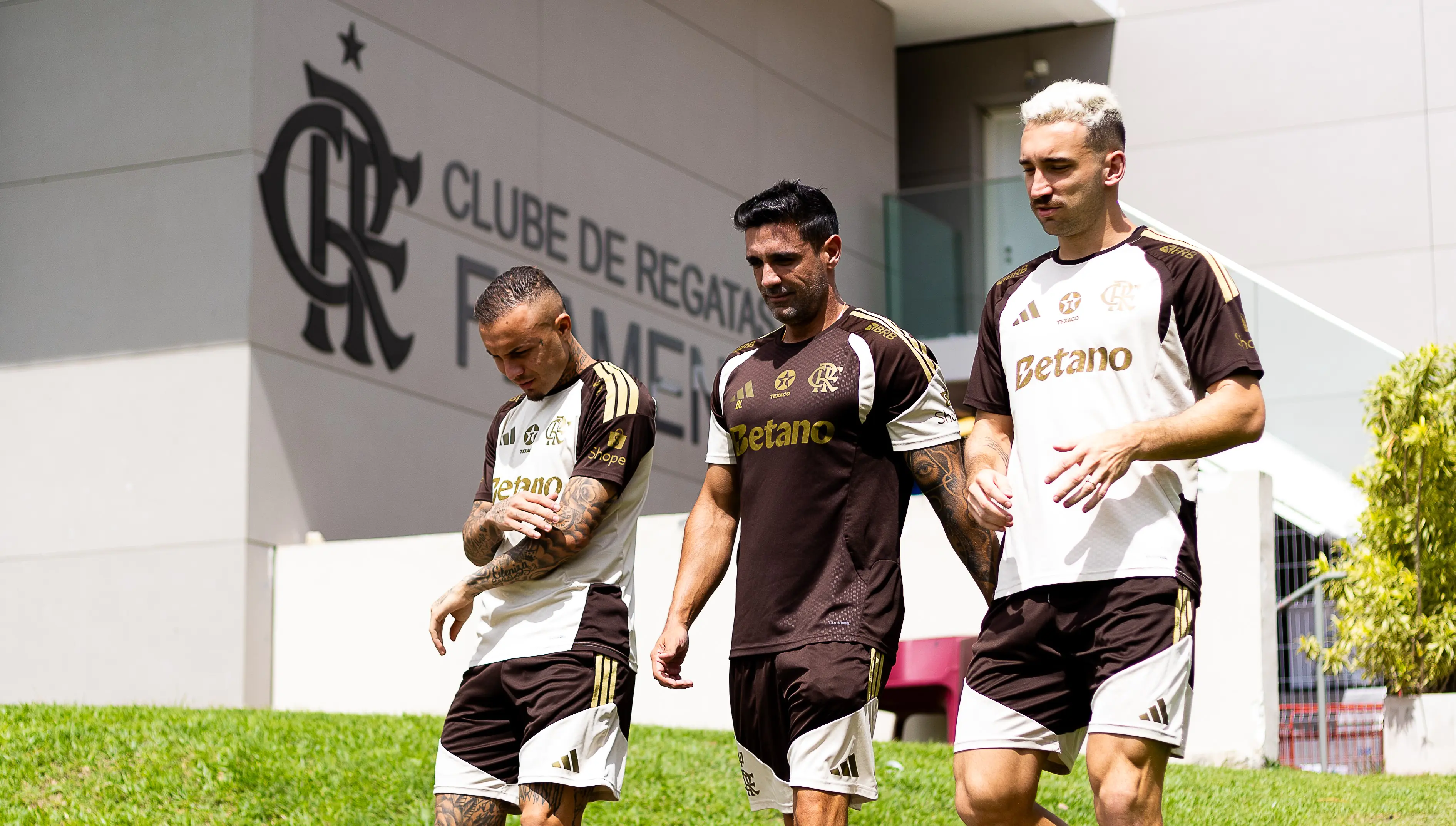 Imagem ilustrativa para a matéria