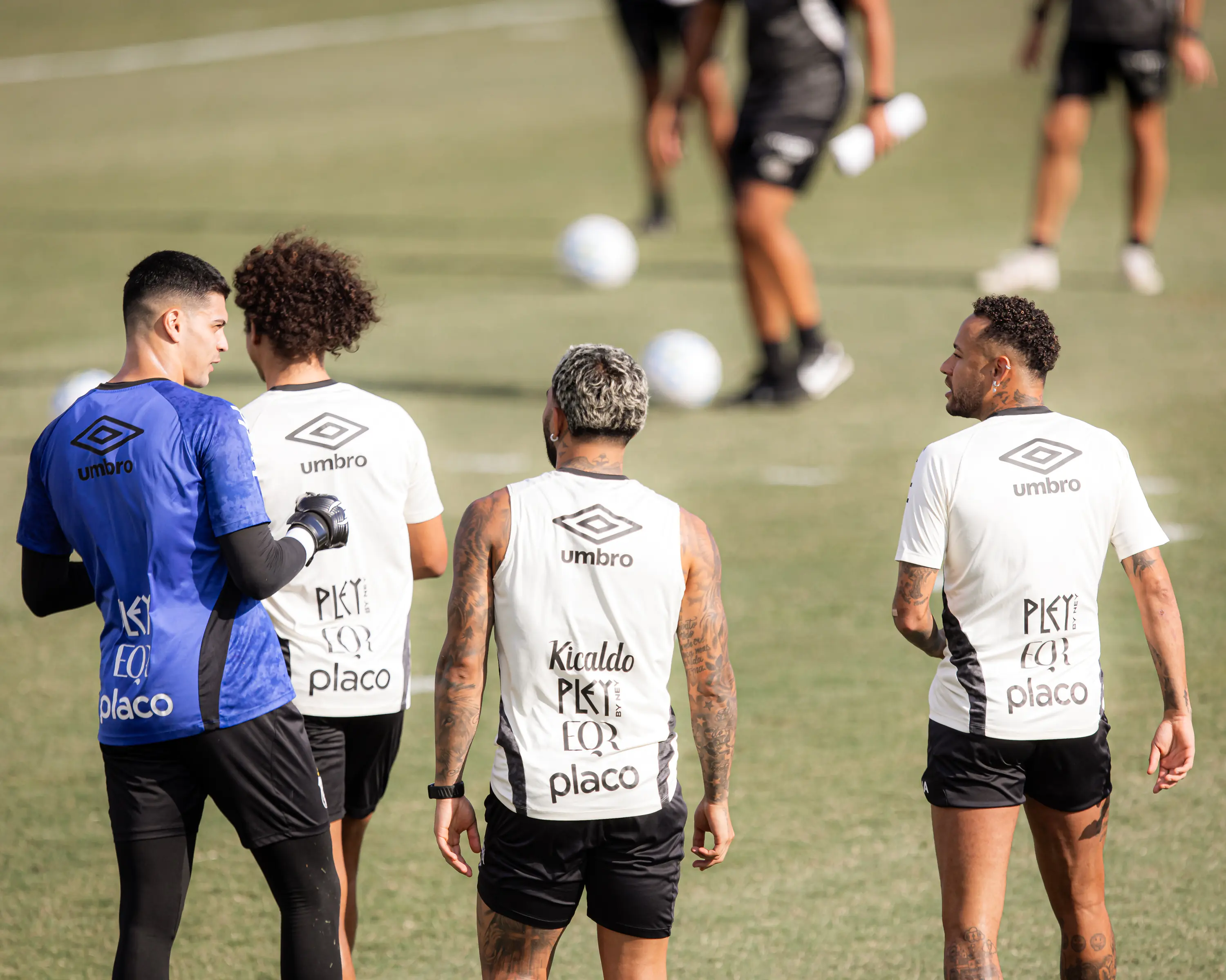 Imagem ilustrativa para a matéria